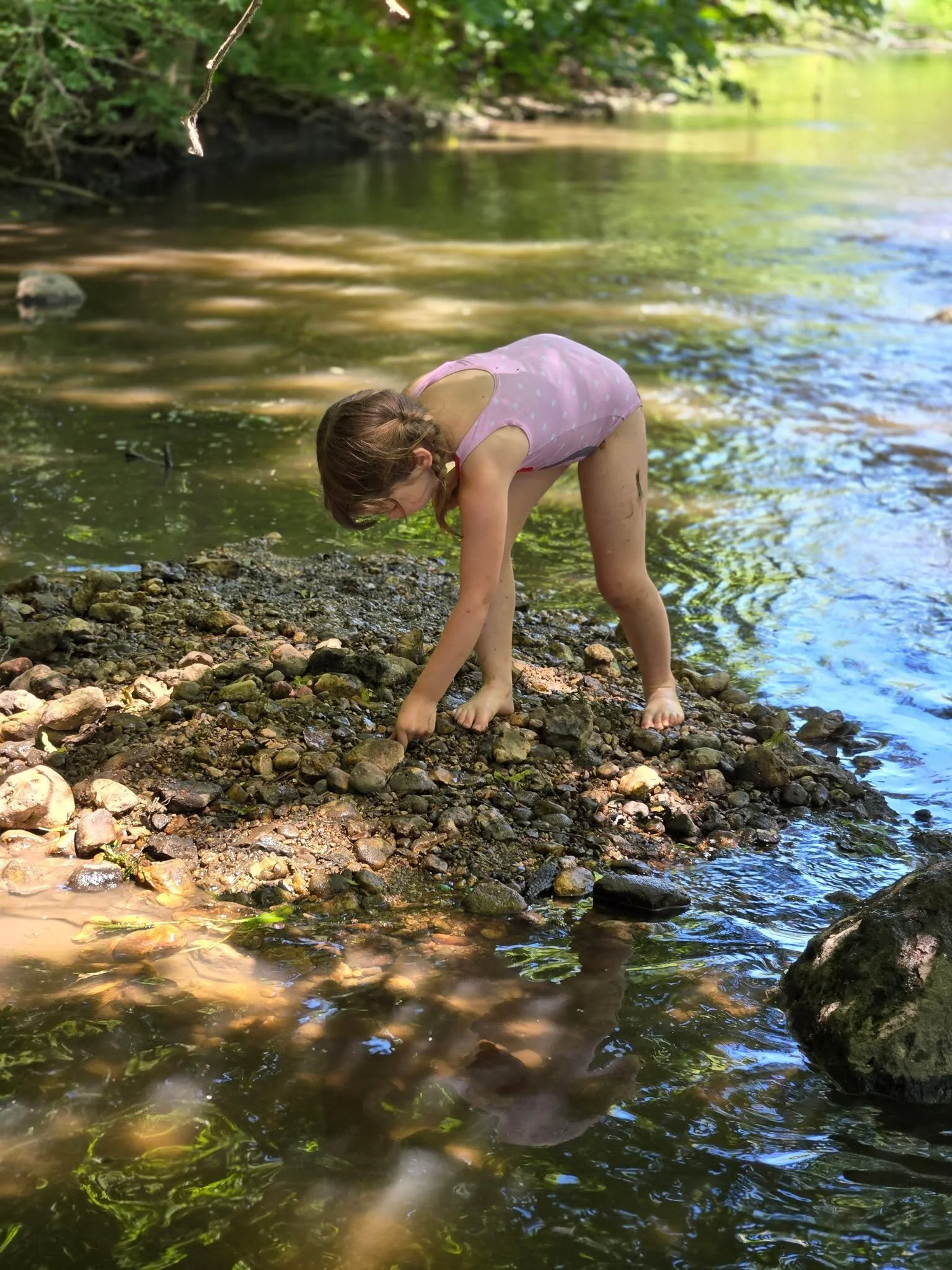Young girl in a pink polka dot bathing suit playing in a rocky creek with surrounded green trees.