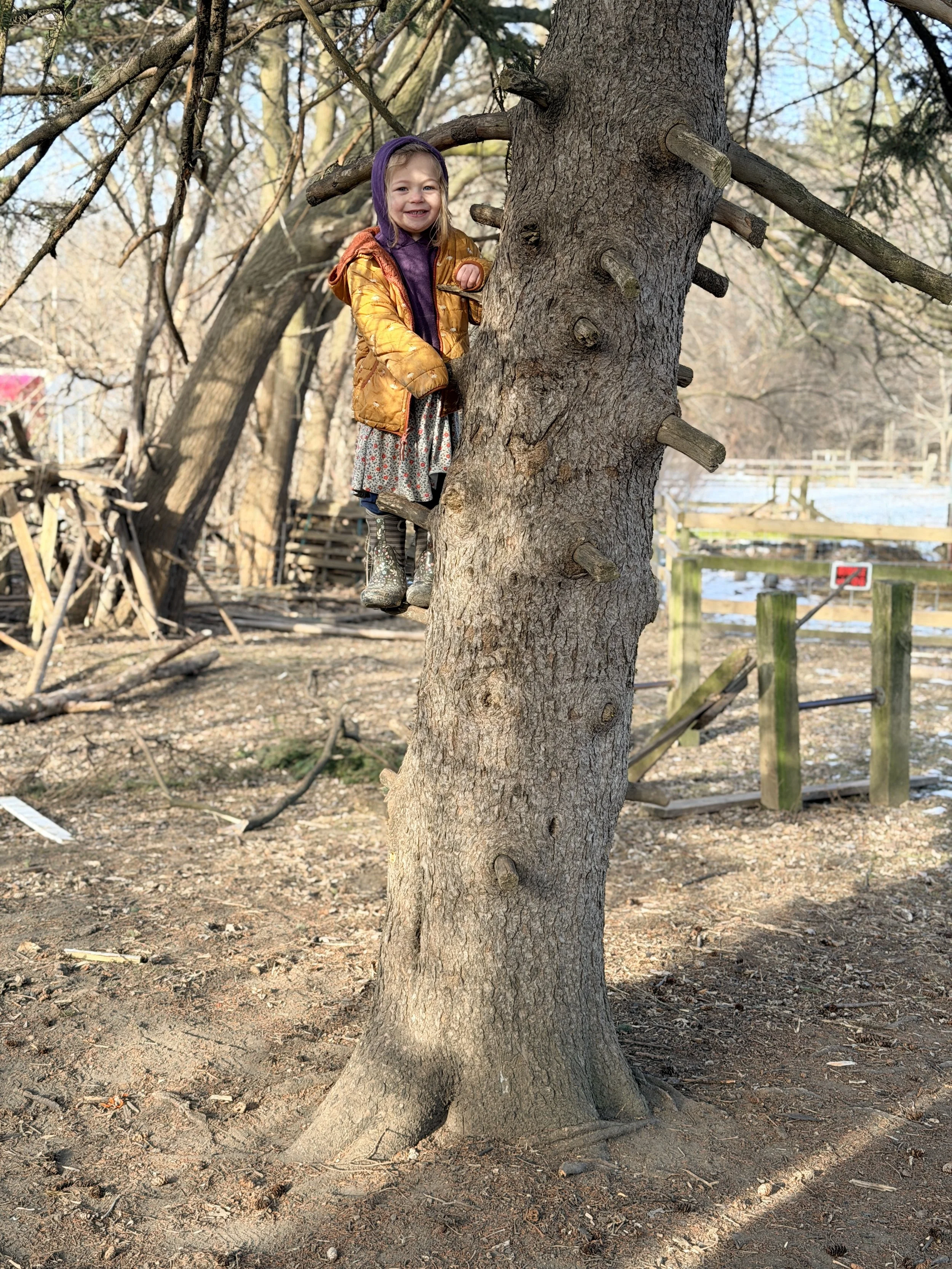 A young girl with long hair, smiling, wearing rain boots, a yellow jacket, and a purple hoodie, climbing a tree outdoors on a clear day. The background shows more trees, a fence, and a body of water.
