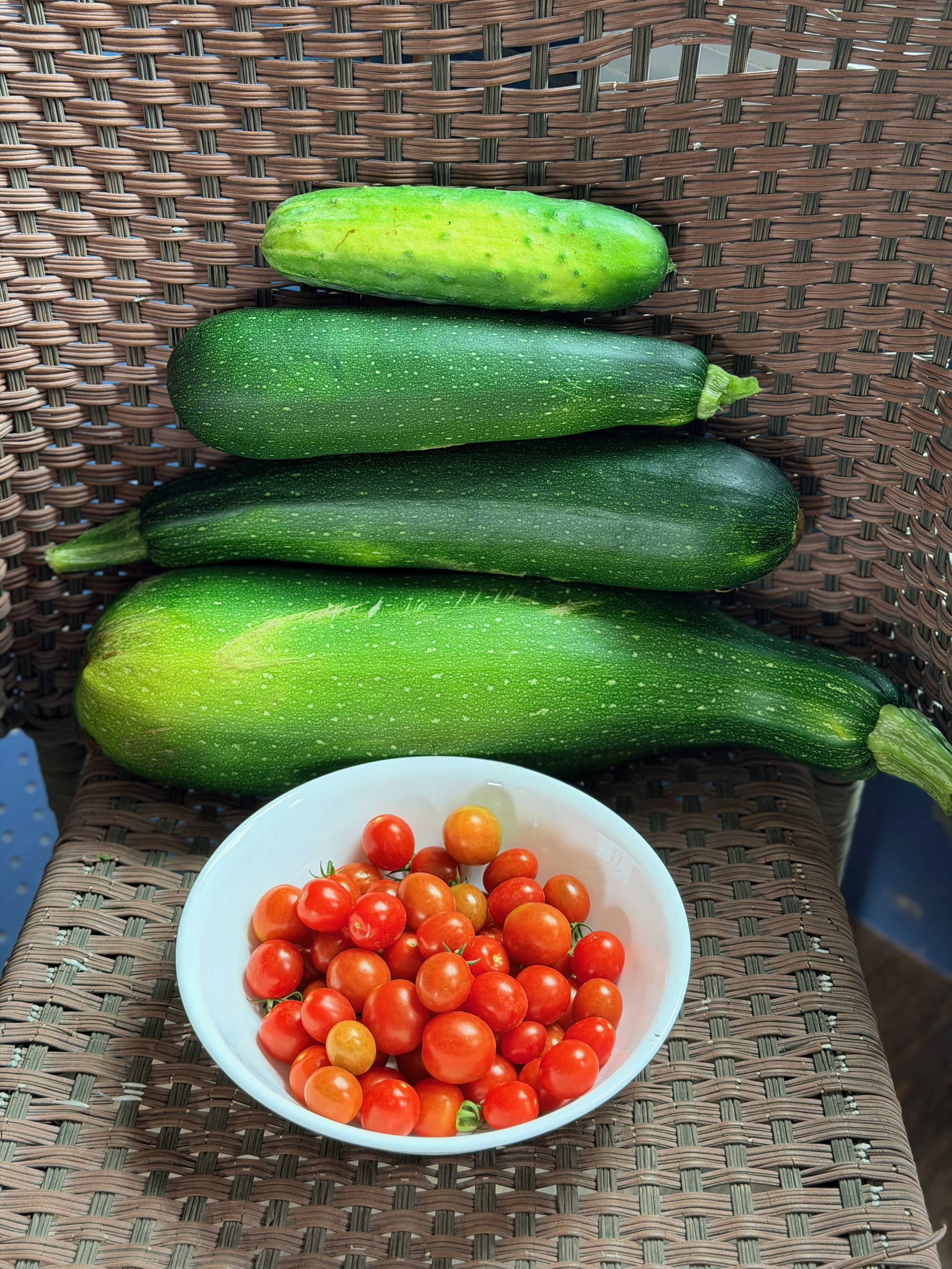 A white bowl filled with small cherry tomatoes on a woven wicker surface, with three zucchinis placed behind the bowl.