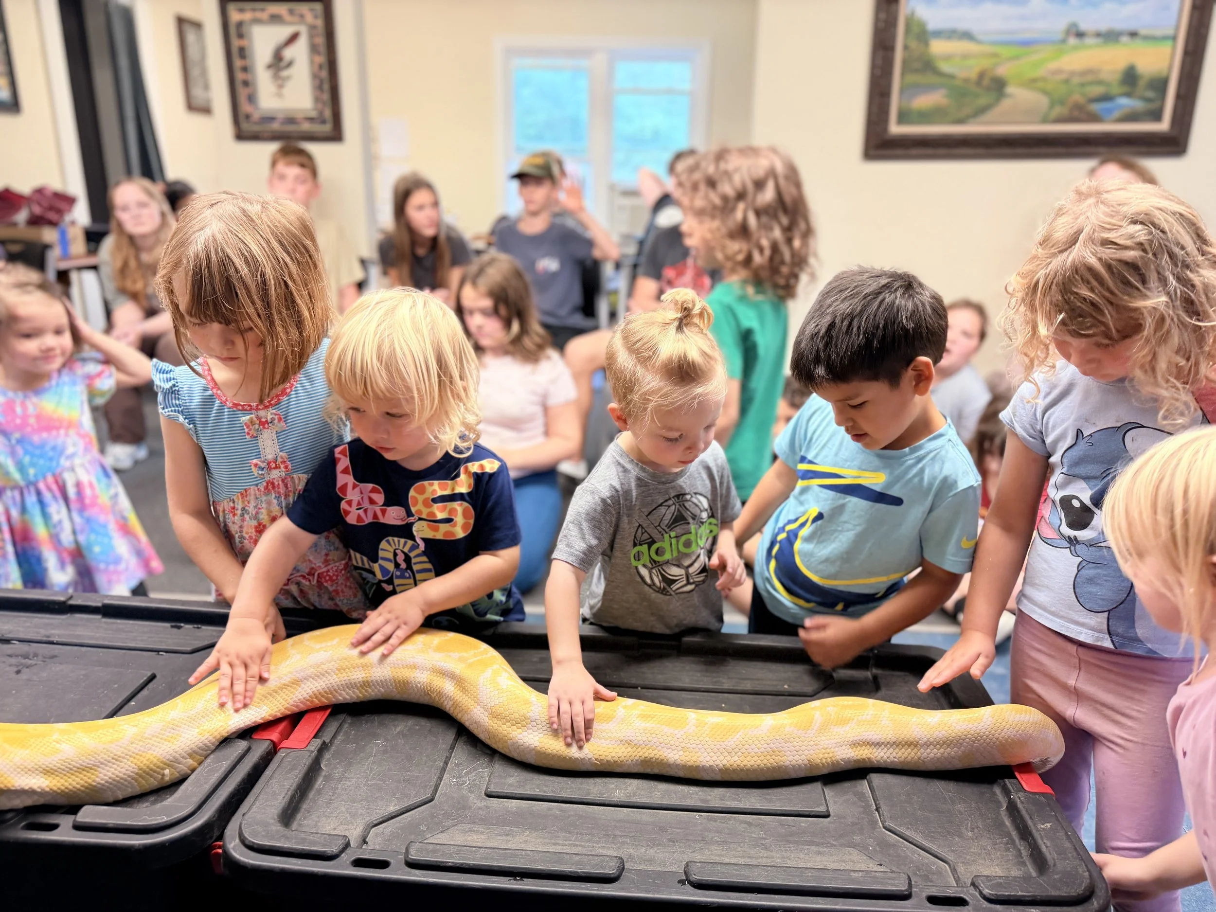 Children and adults gathered around a table, petting and examining a snake, in a room with framed artwork on the walls and windows showing a rural landscape outside.