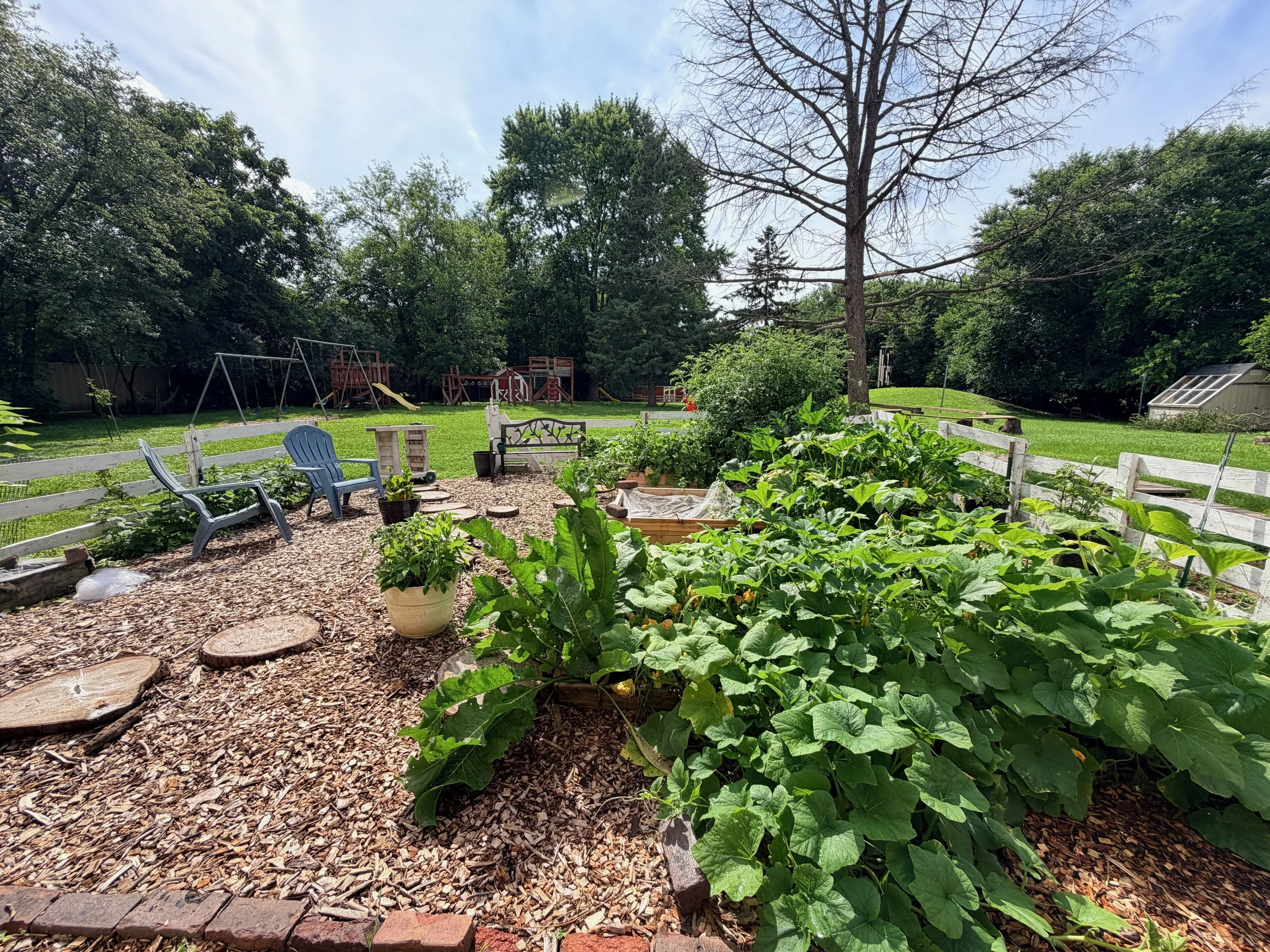 A backyard with a vegetable garden, green leafy plants, a small wooden fence, a deck chair, and a playground with swings and a slide, surrounded by large trees under a partly cloudy sky.