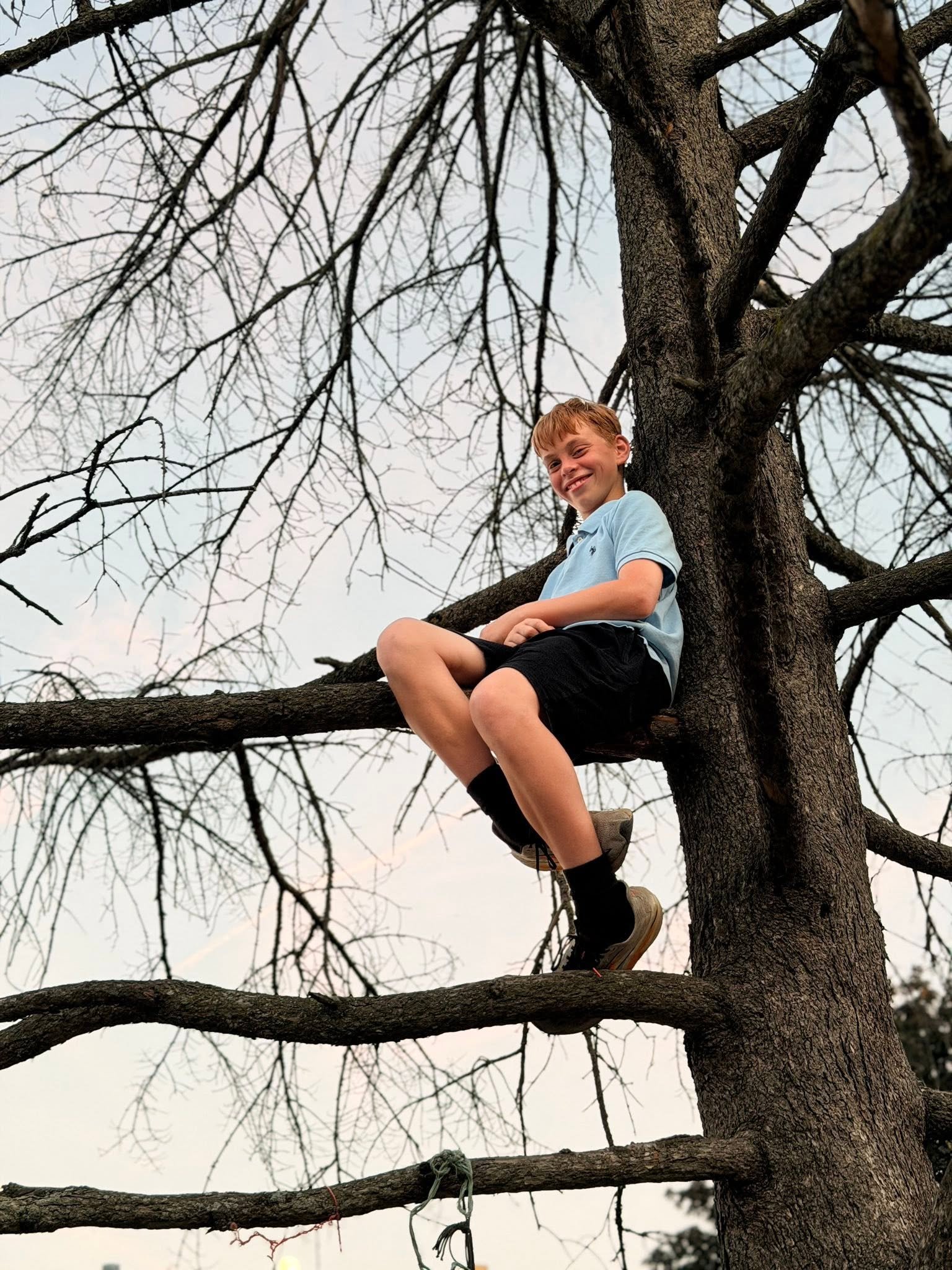 A young boy with red hair smiling while sitting on a branch of a leafless tree with thick branches, during daytime with an overcast sky.