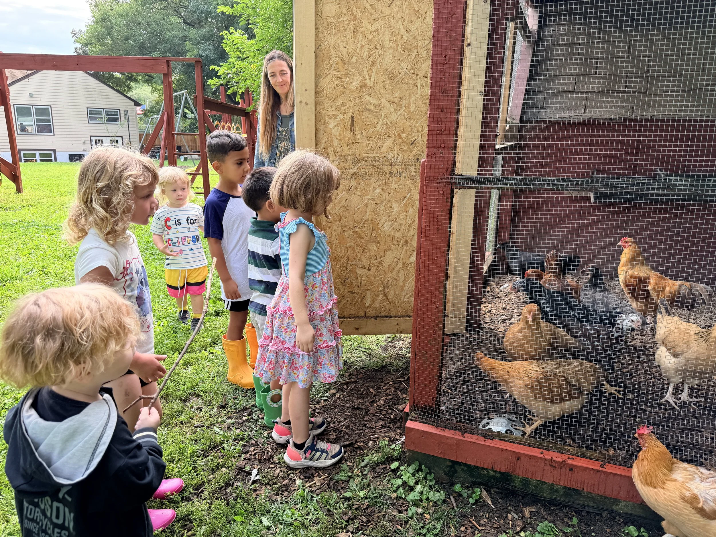 A group of children and a woman observe chickens inside a chicken coop with a wire mesh front during daytime in a backyard or farm area with green grass and trees.