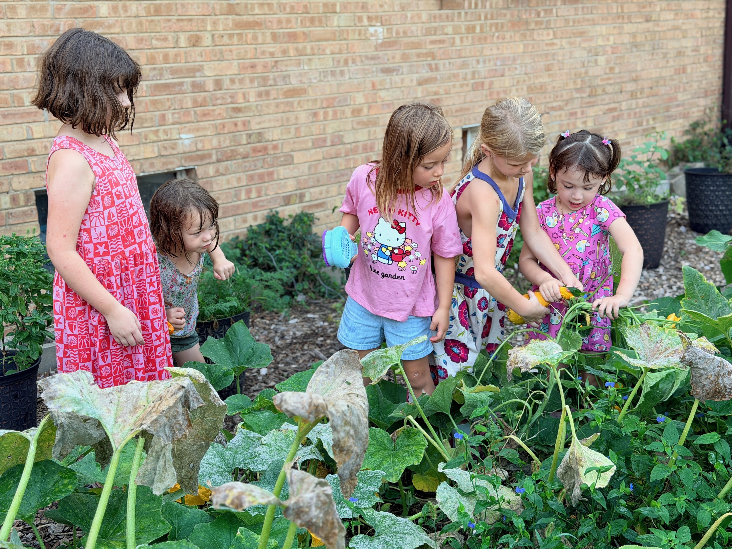 Five young girls, some wearing colorful pajamas, are gathered in a garden, tending to vegetable plants.