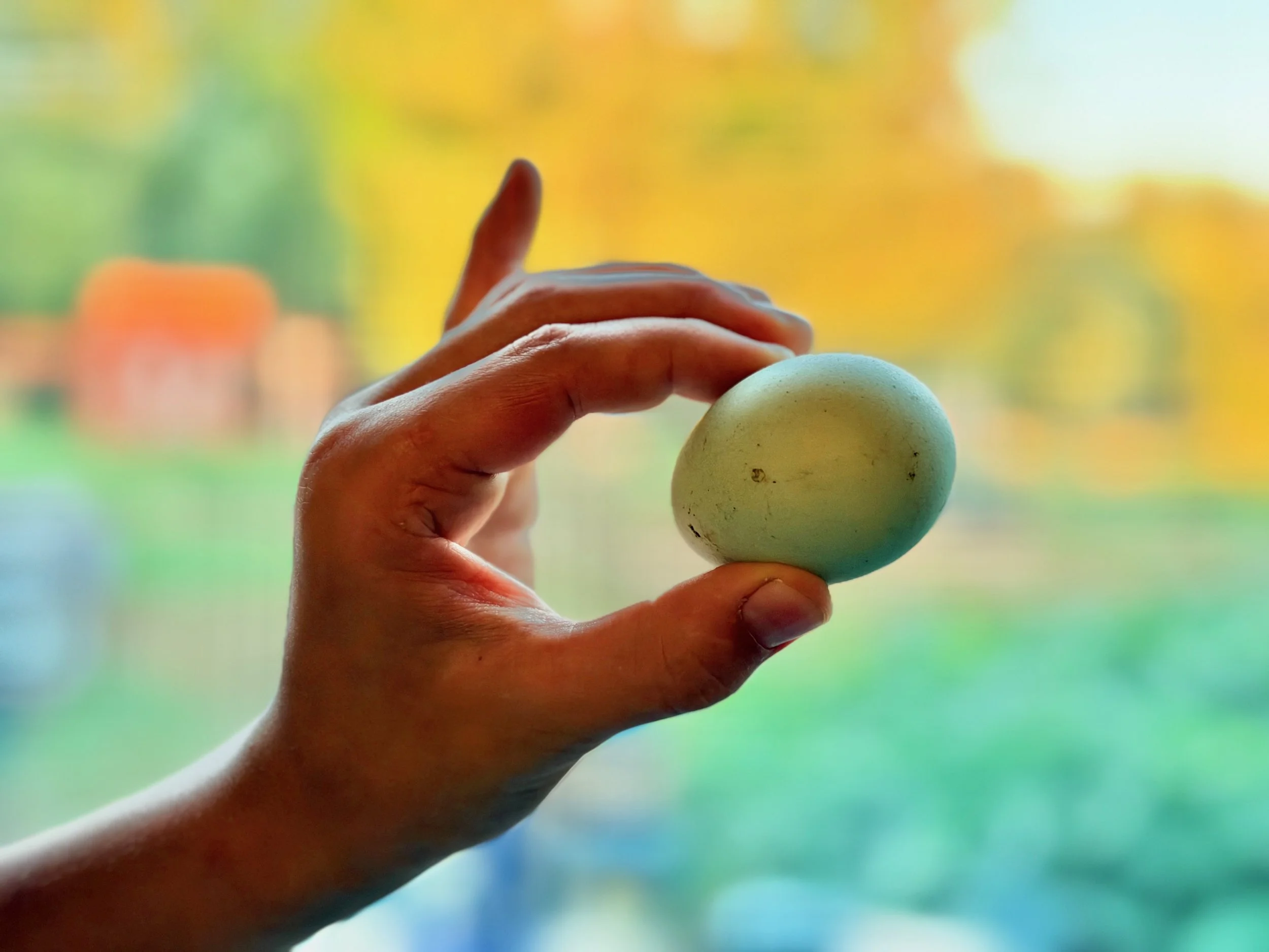 Close-up of a hand holding an Easter egg with a blurred colorful background.