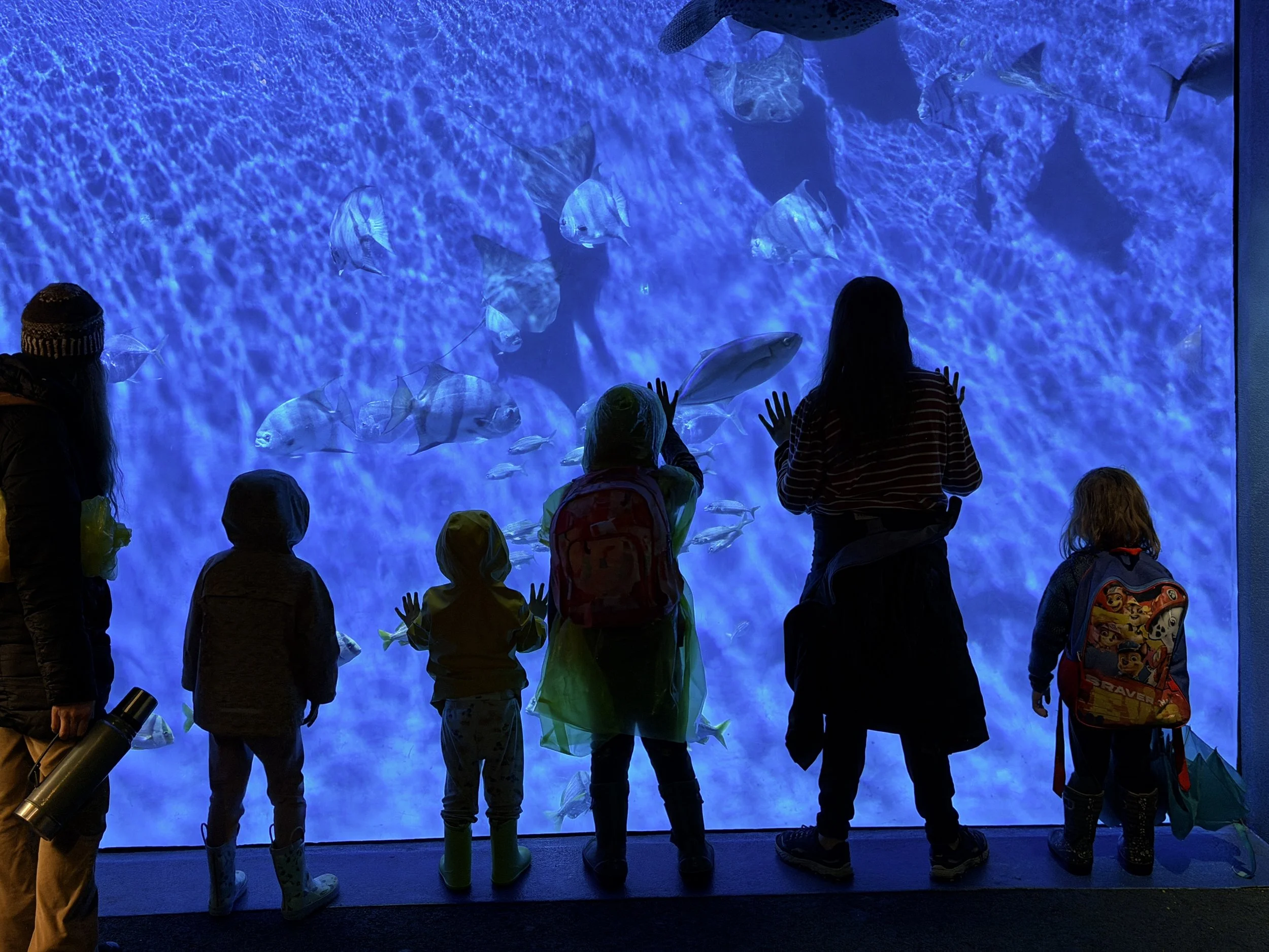 Children looking at a large aquarium tank filled with fish, mostly silhouettes in blue lighting.