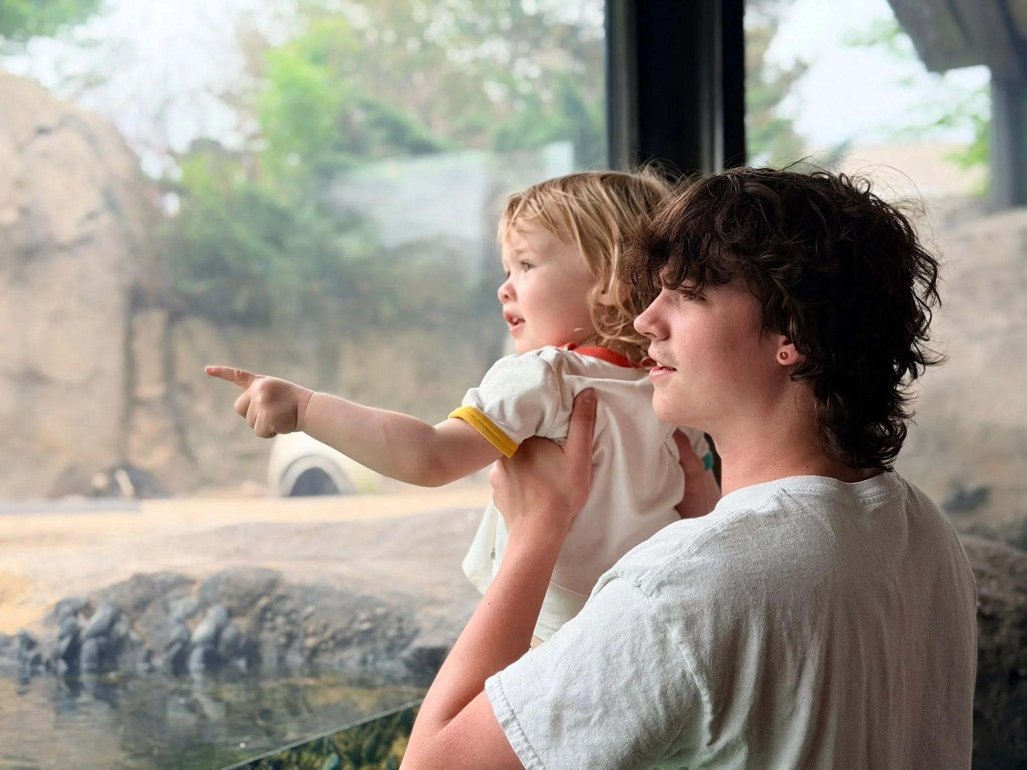 A woman holding a young girl on her shoulders, both looking out a large window at nature outside. The girl is pointing towards the view, and the scene appears to be in a natural setting with trees and rocks.
