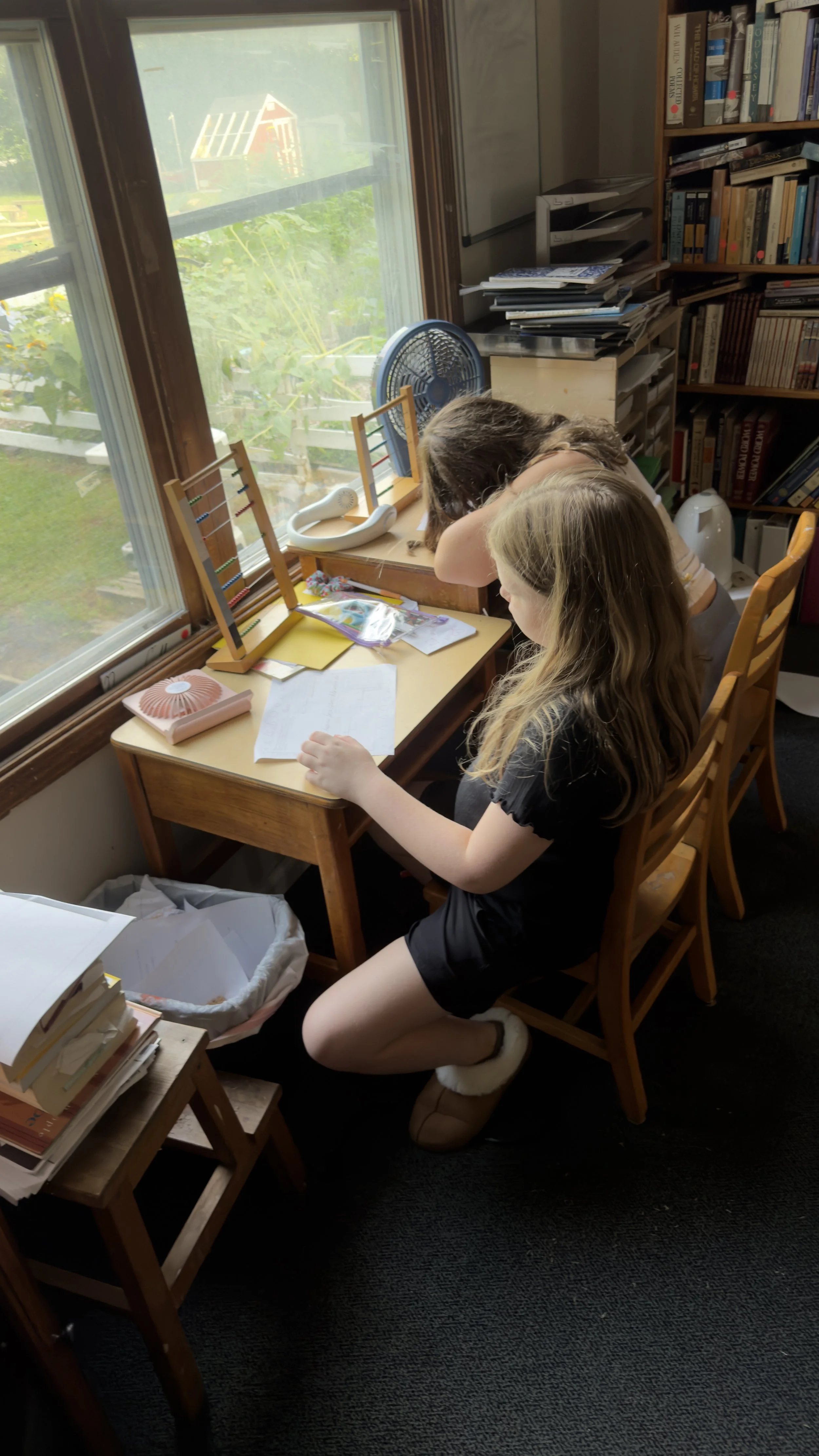 Two girls with long hair at a wooden desk in a room with bookshelves, a window, and various papers and items on the desk and shelves, with a view of a garden outside.
