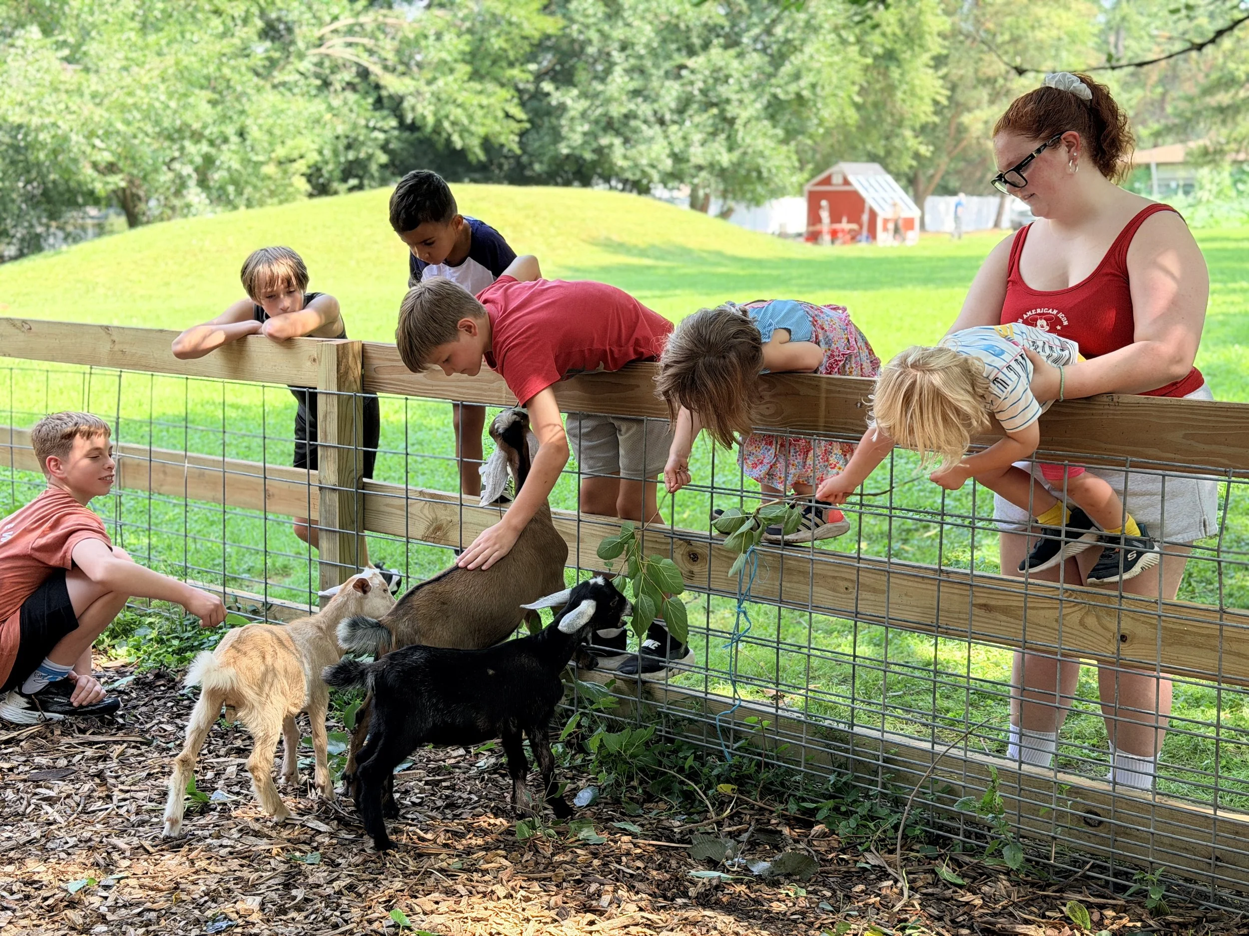 Children and a woman feeding goats at a petting zoo, with a wooden fence and lush green trees in the background.