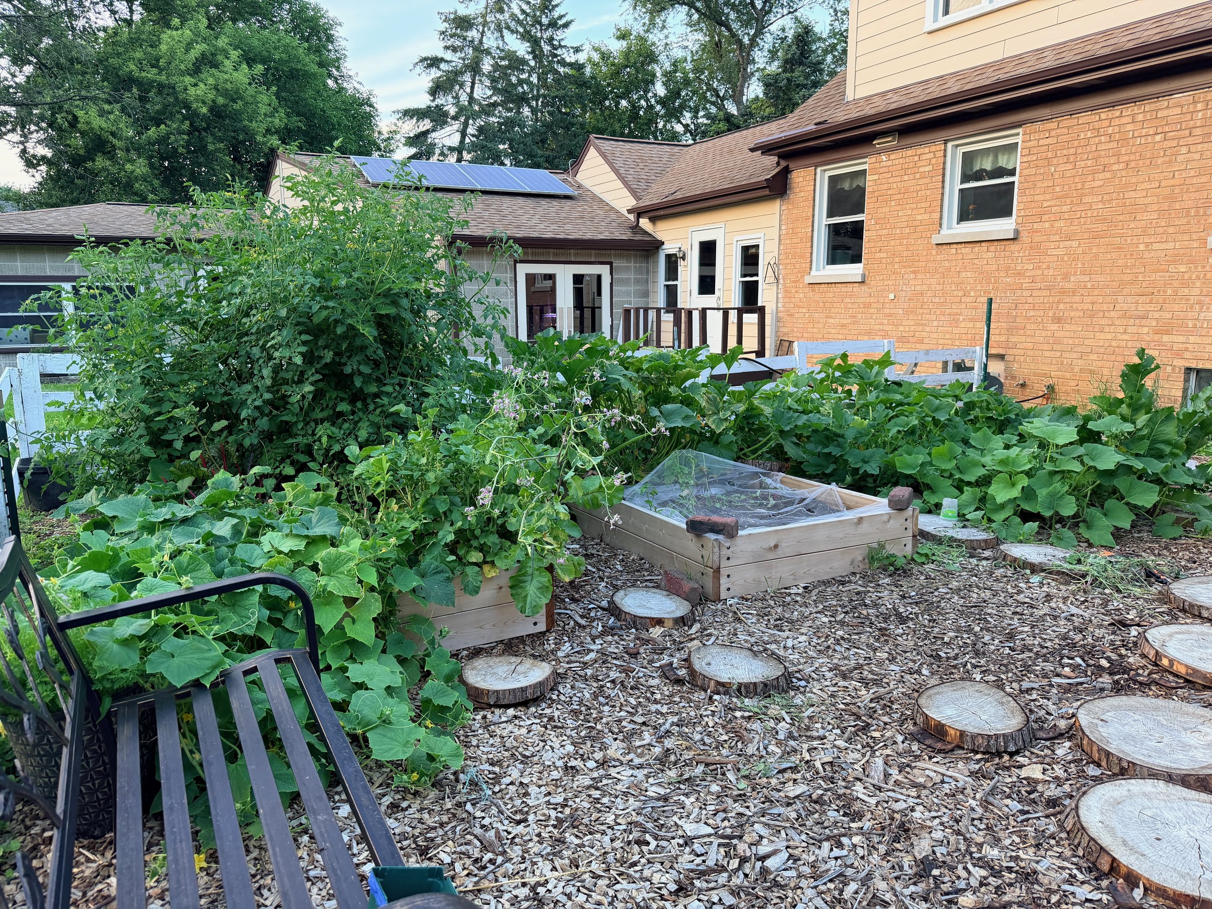 Backyard garden with plants, wooden planter boxes, and wood chip ground cover, with house and trees in the background.