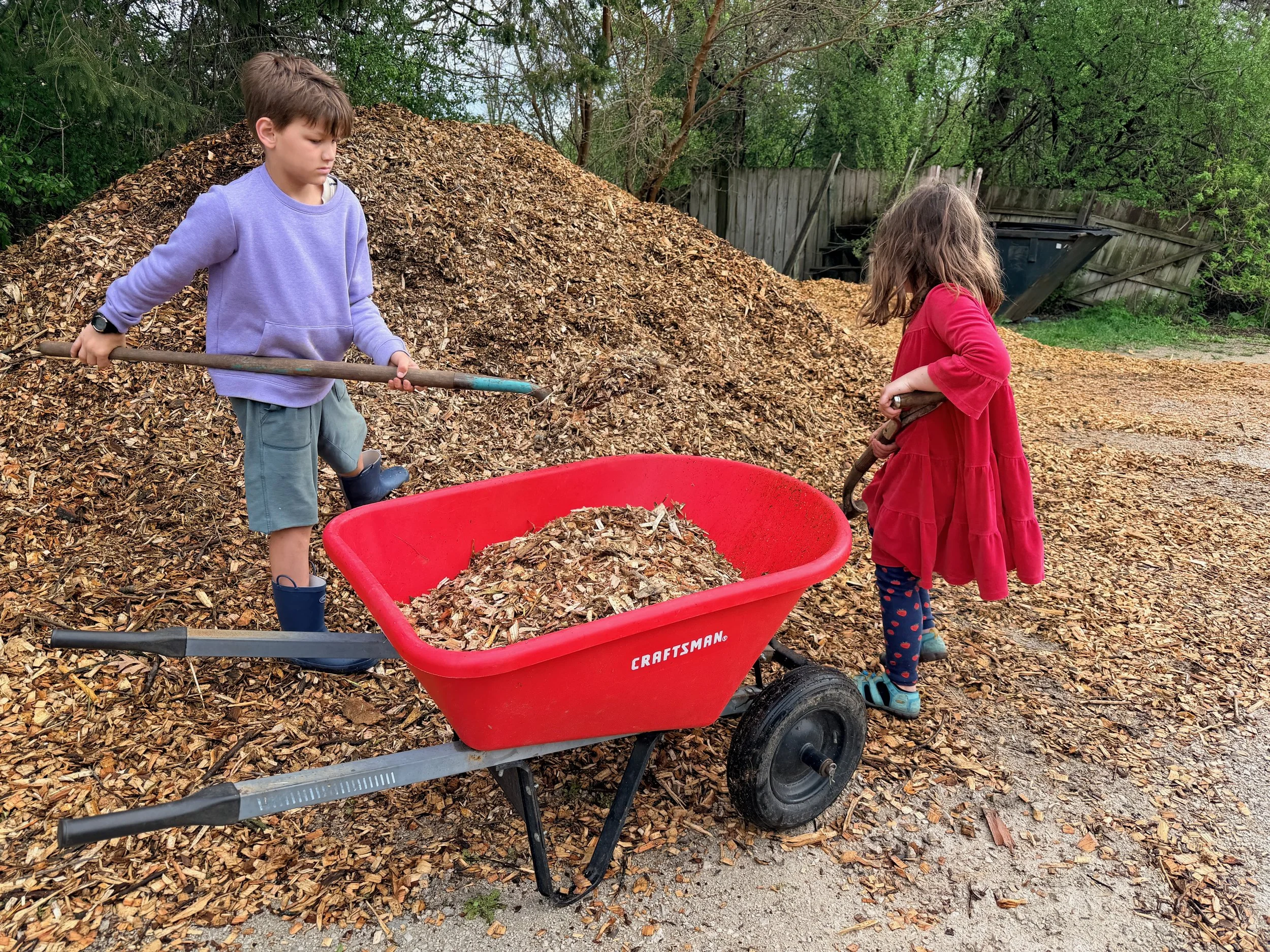 Two children, a boy and a girl, are shoveling wood chips or mulch into a red wheelbarrow in a backyard with trees and a wooden fence.