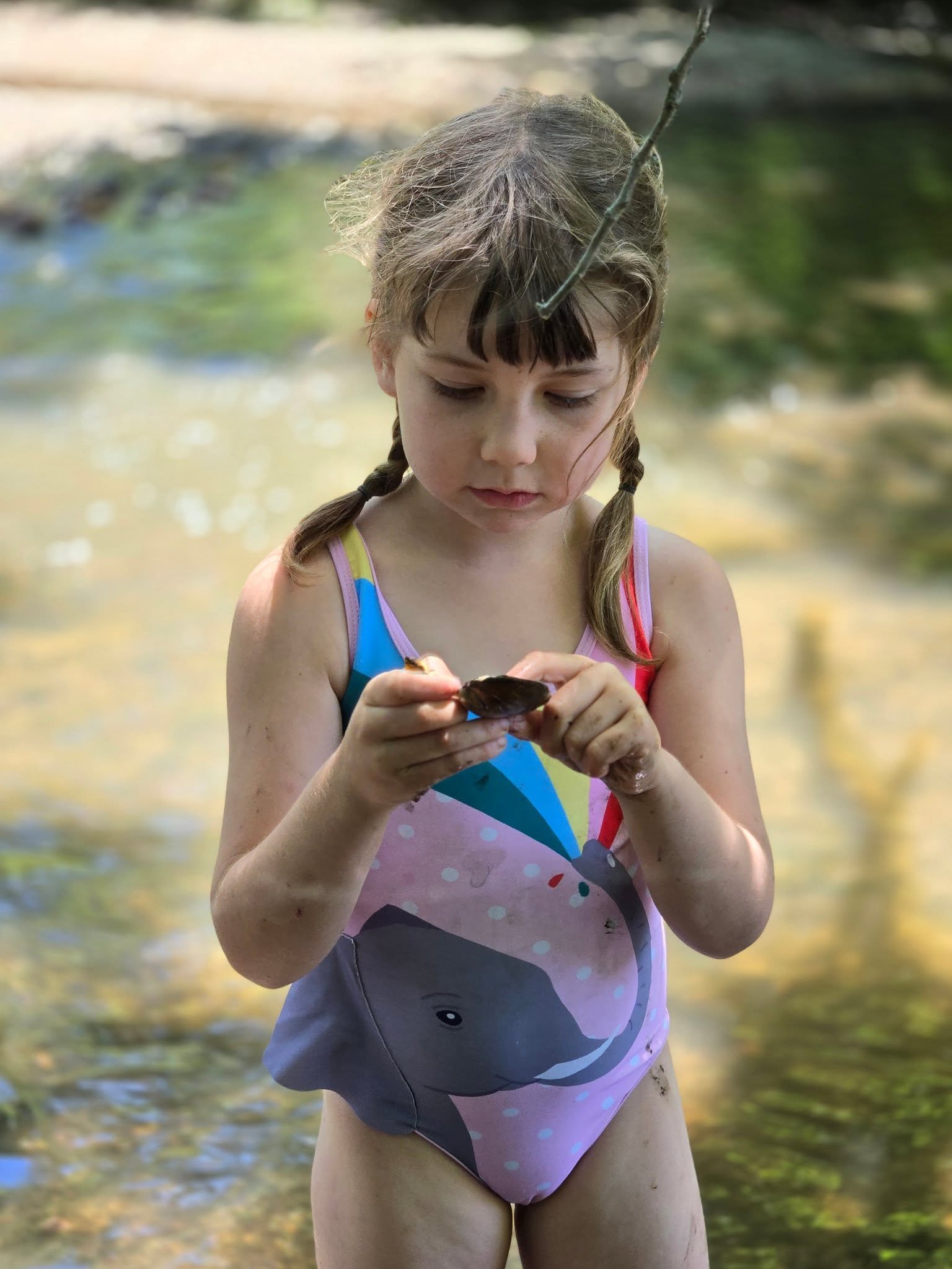 Young girl in a pink swimsuit with a narwhal design playing in a shallow river, holding a shell.