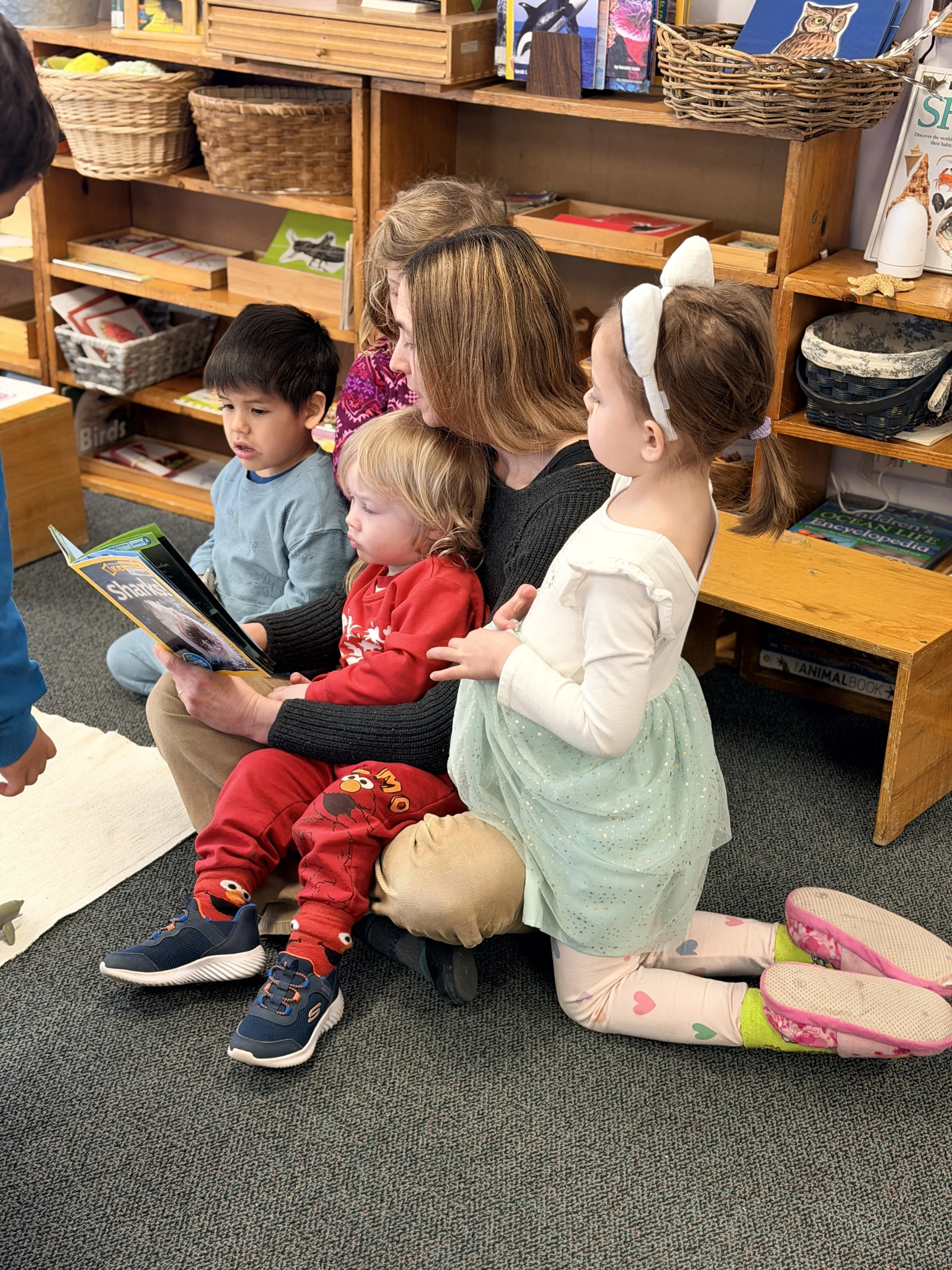 Children sitting on the floor while an adult reads a book to them in a library, with wooden shelves filled with books and baskets in the background.