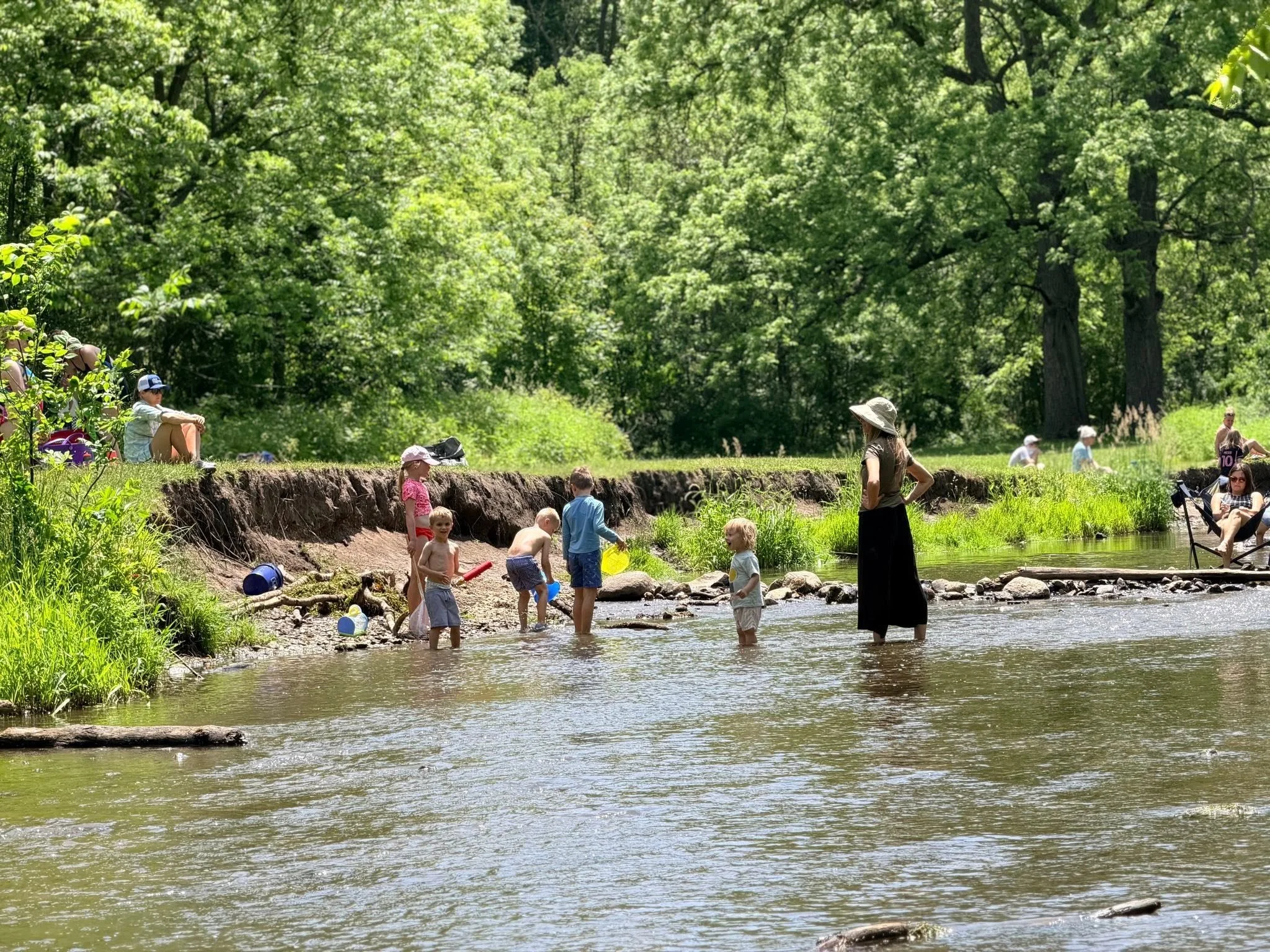 Children and adults playing in a shallow creek surrounded by lush green trees on a sunny day.