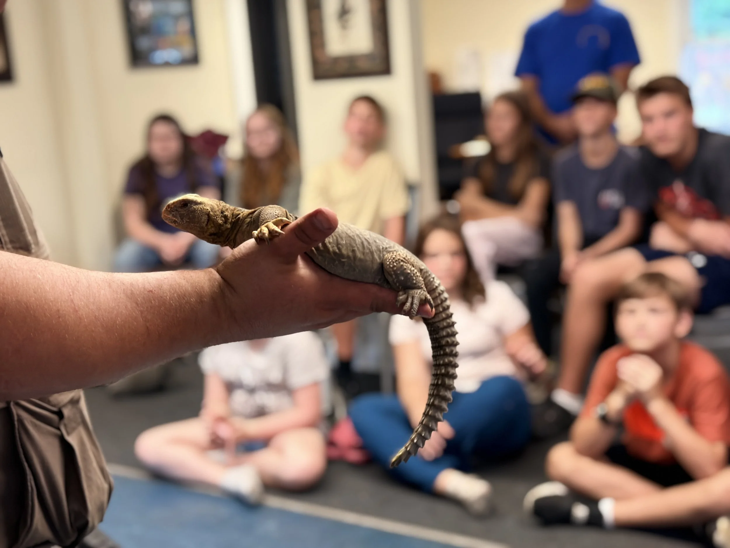 Close-up of a person holding a large lizard in their hand. In the background, a group of children are sitting on the floor, watching the lizard, with blurred faces.