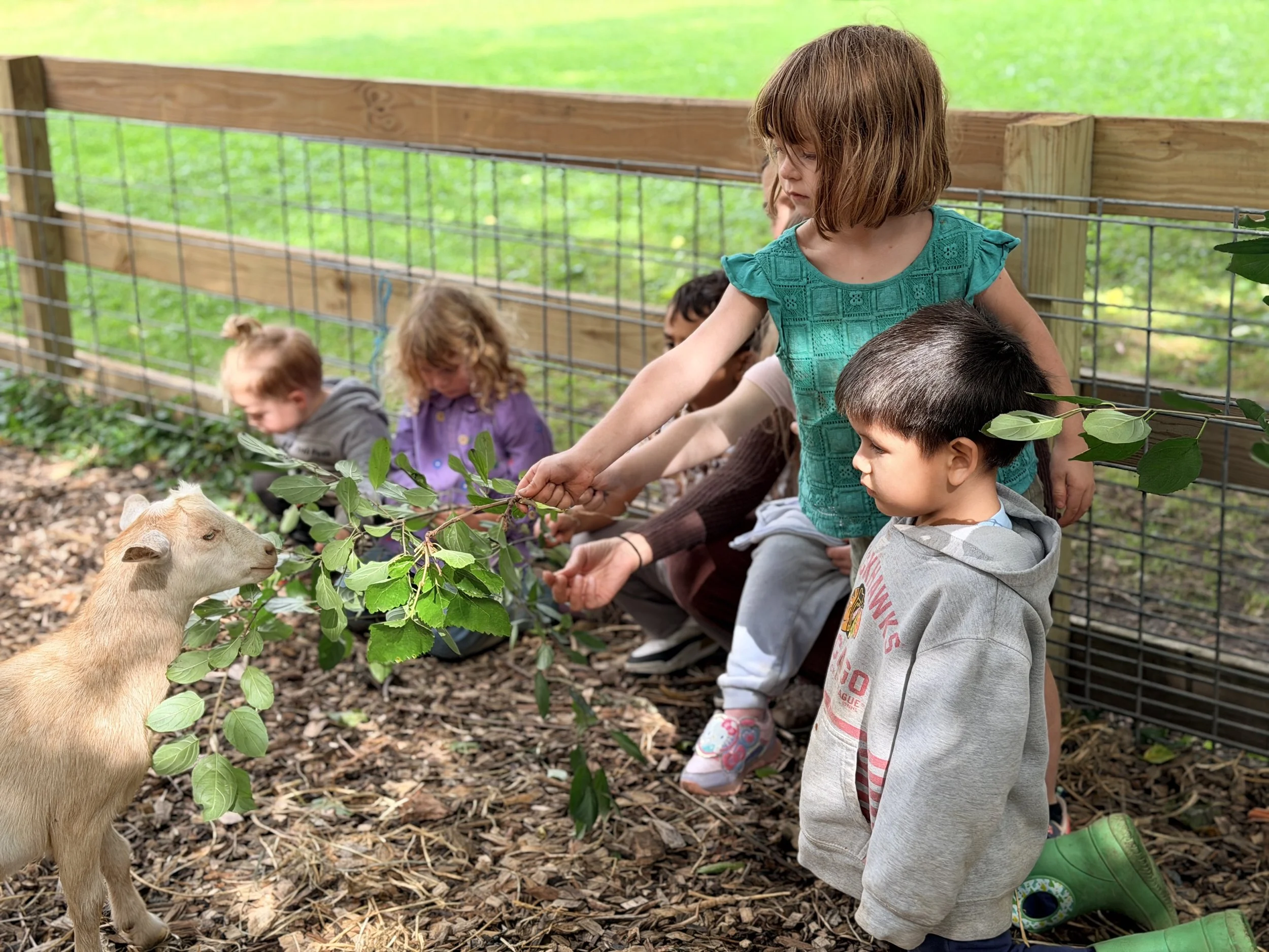 Children sitting on the ground feeding a goat through a fence at a farm or petting zoo.