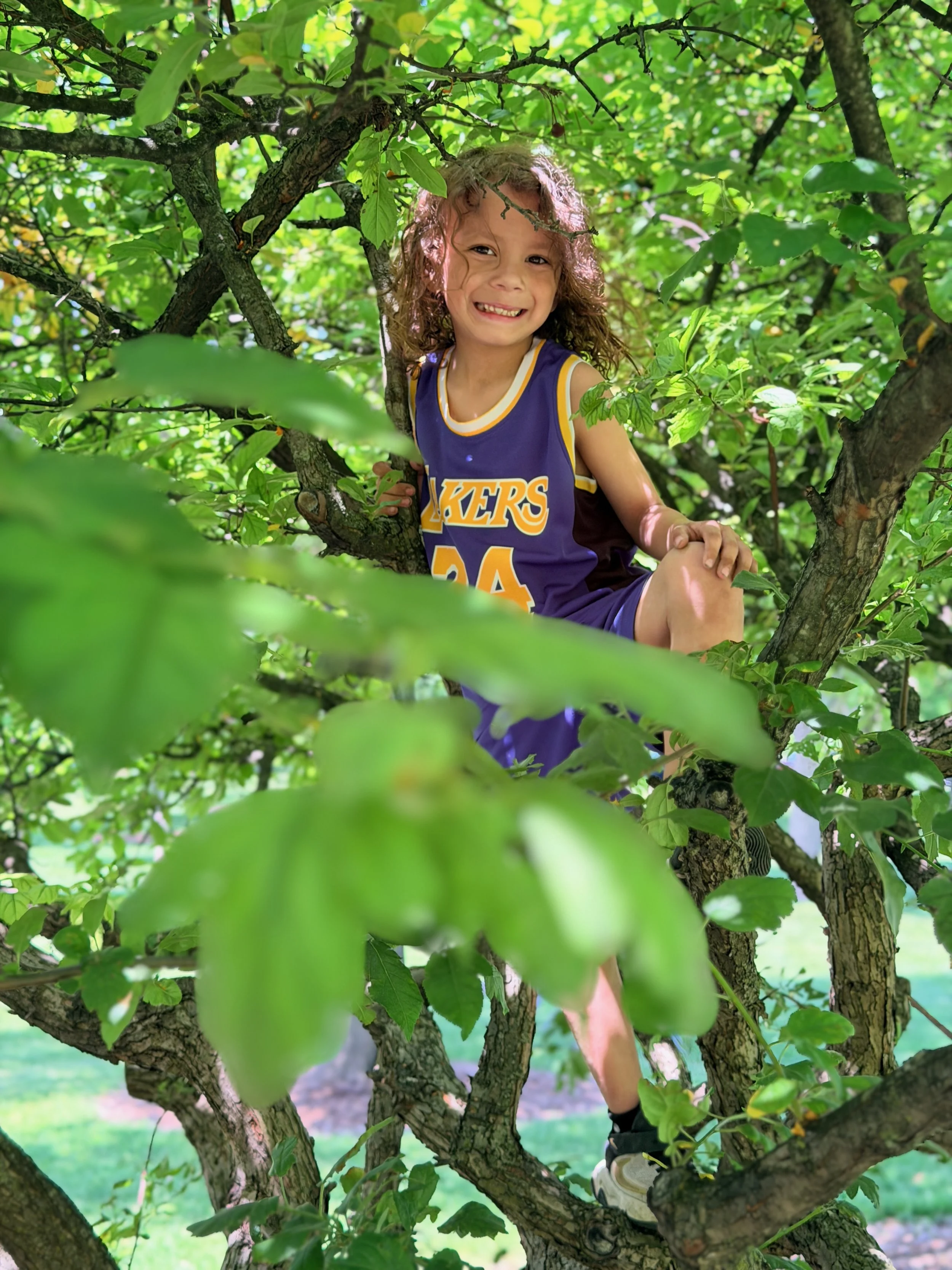 Child with curly hair and a Lakers basketball jersey sitting on a tree branch, surrounded by green leaves in a lush outdoor setting.