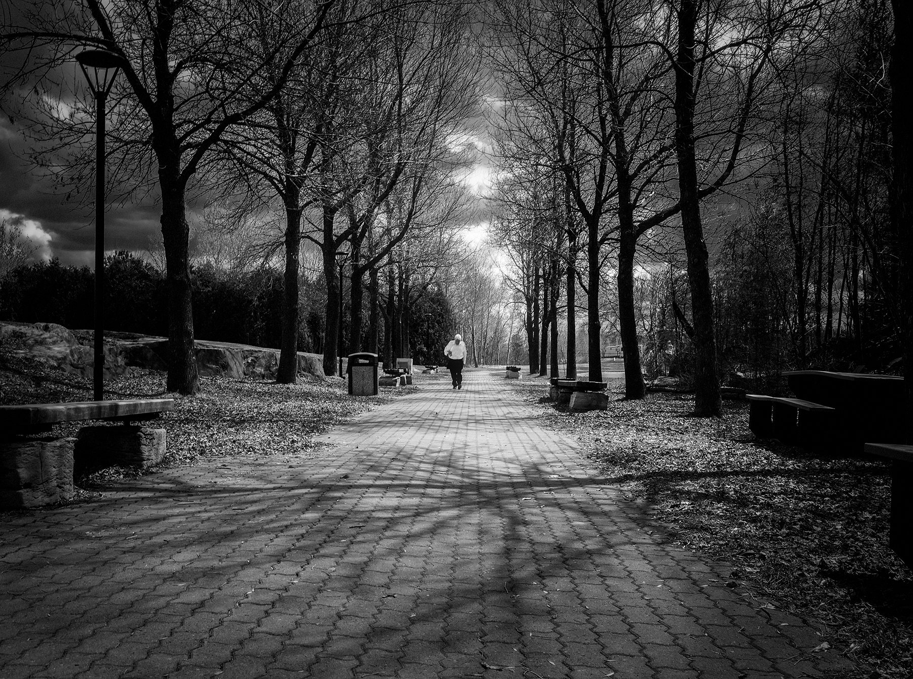 A black and white photo of a park walkway lined with leafless trees. A person is walking down the path away from the camera. There are benches, trash bins, and a lamp post along the walkway. Dark clouds are in the sky, suggesting an overcast or storm