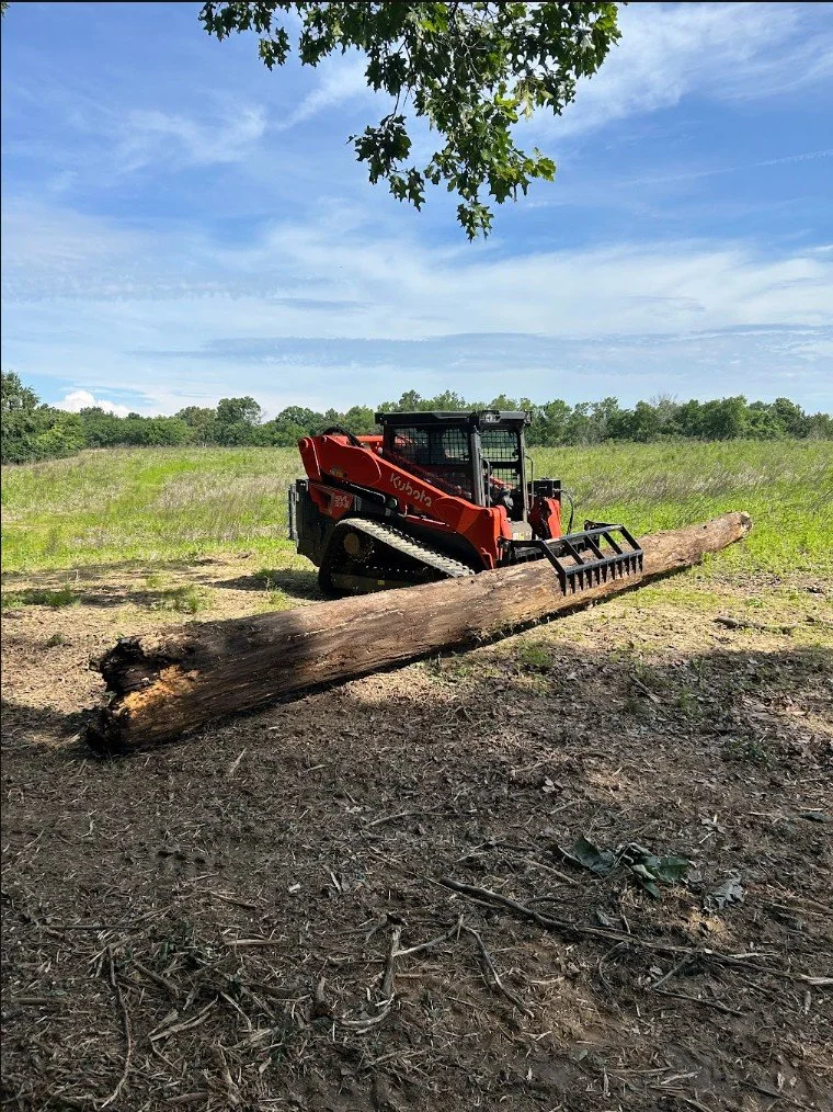 A red compact track loader with black tracks and a protective cab, picking up or moving a large fallen log in an open field under a partly cloudy sky.