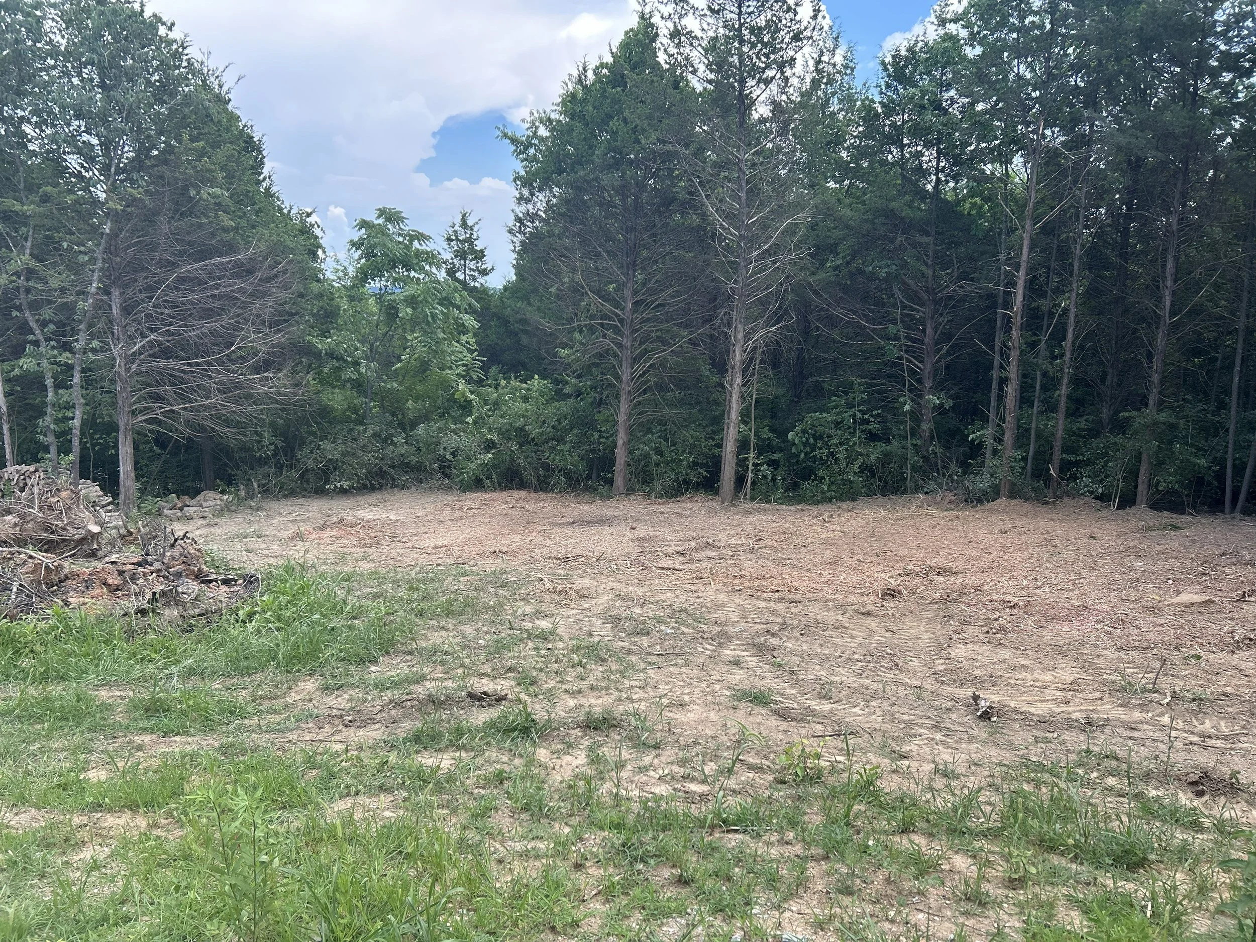 A cleared dirt area with patches of grass in the foreground. Tall green trees line the background under a cloudy sky.