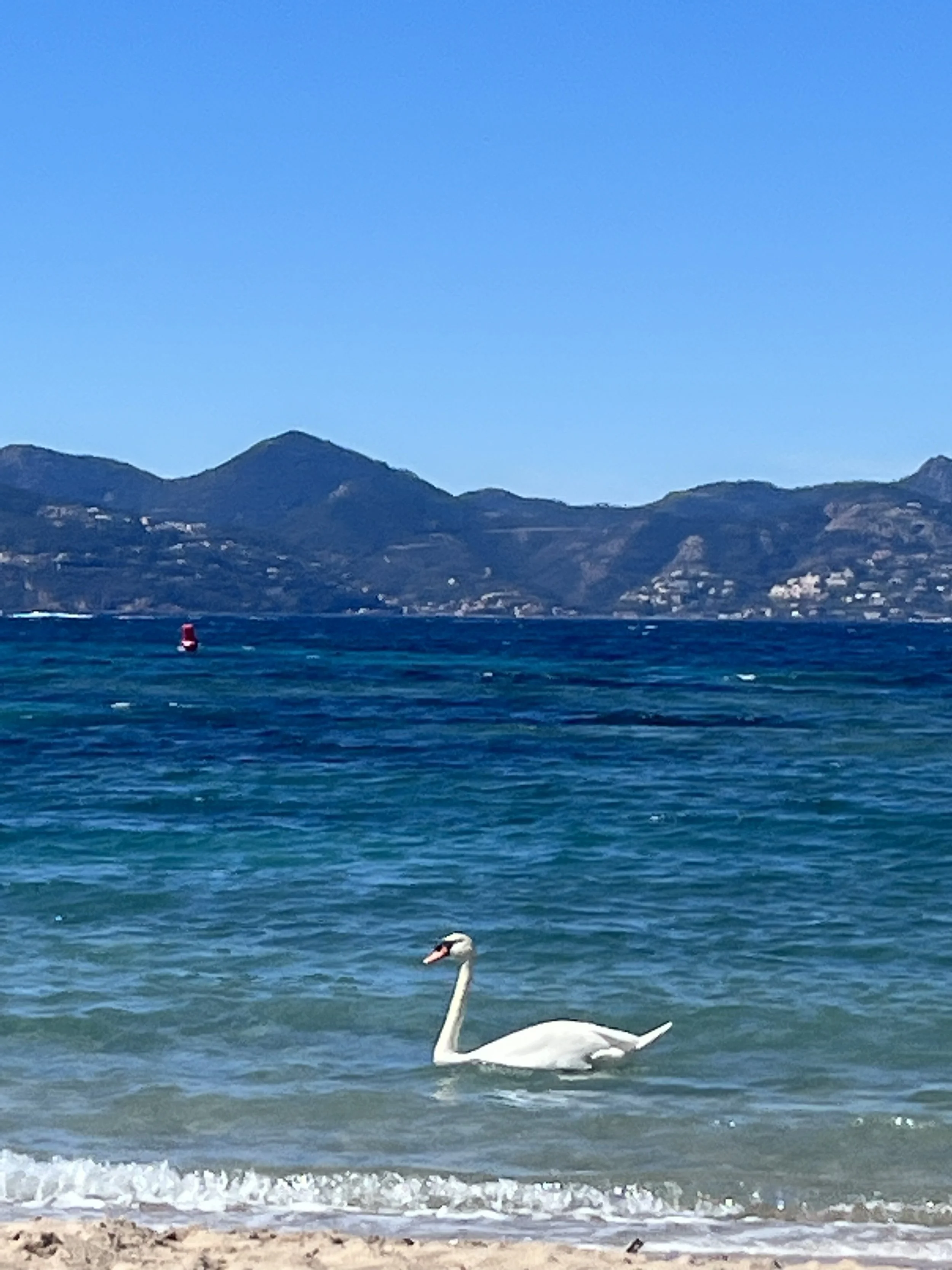IMG_7023-2 copy.jpg