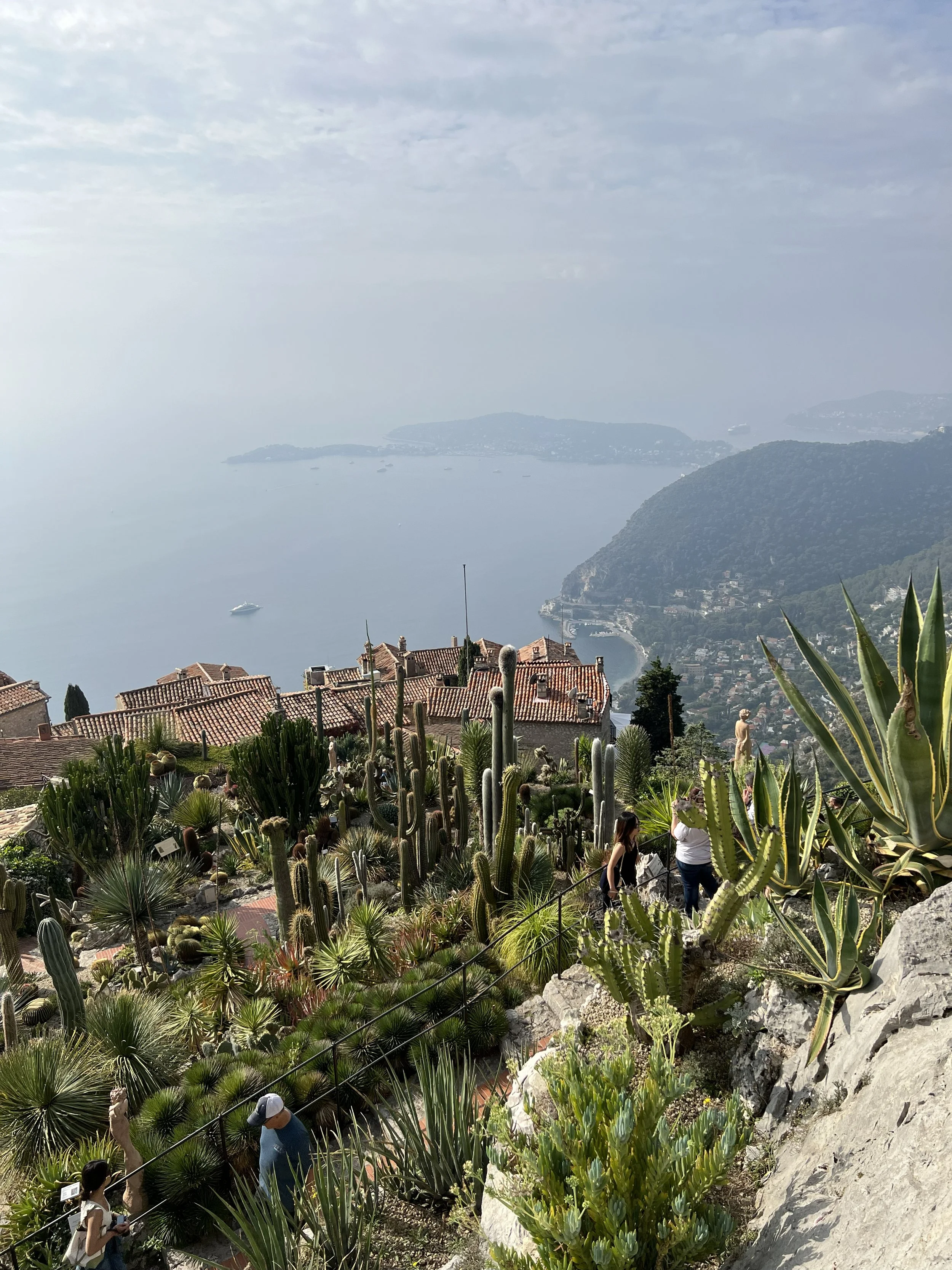IMG_3685-2 copy.jpg