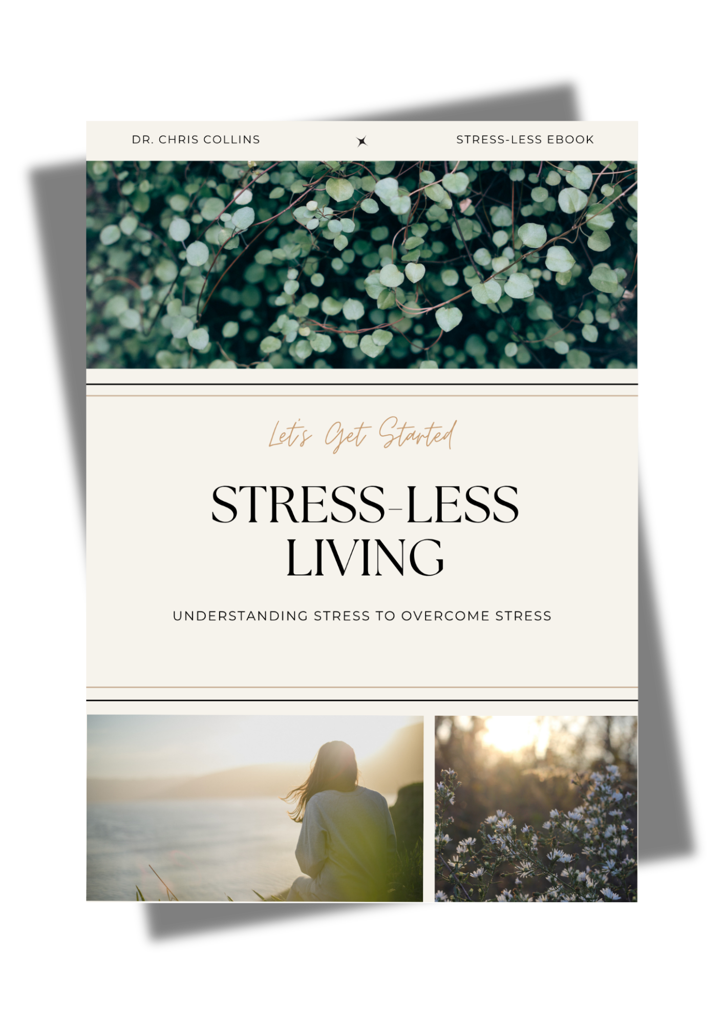 A book cover titled "Stress-Less Living" by Dr. Chris Collins featuring a nature scene of a woman overlooking a body of water at sunset surrounded by greenery and flowers.