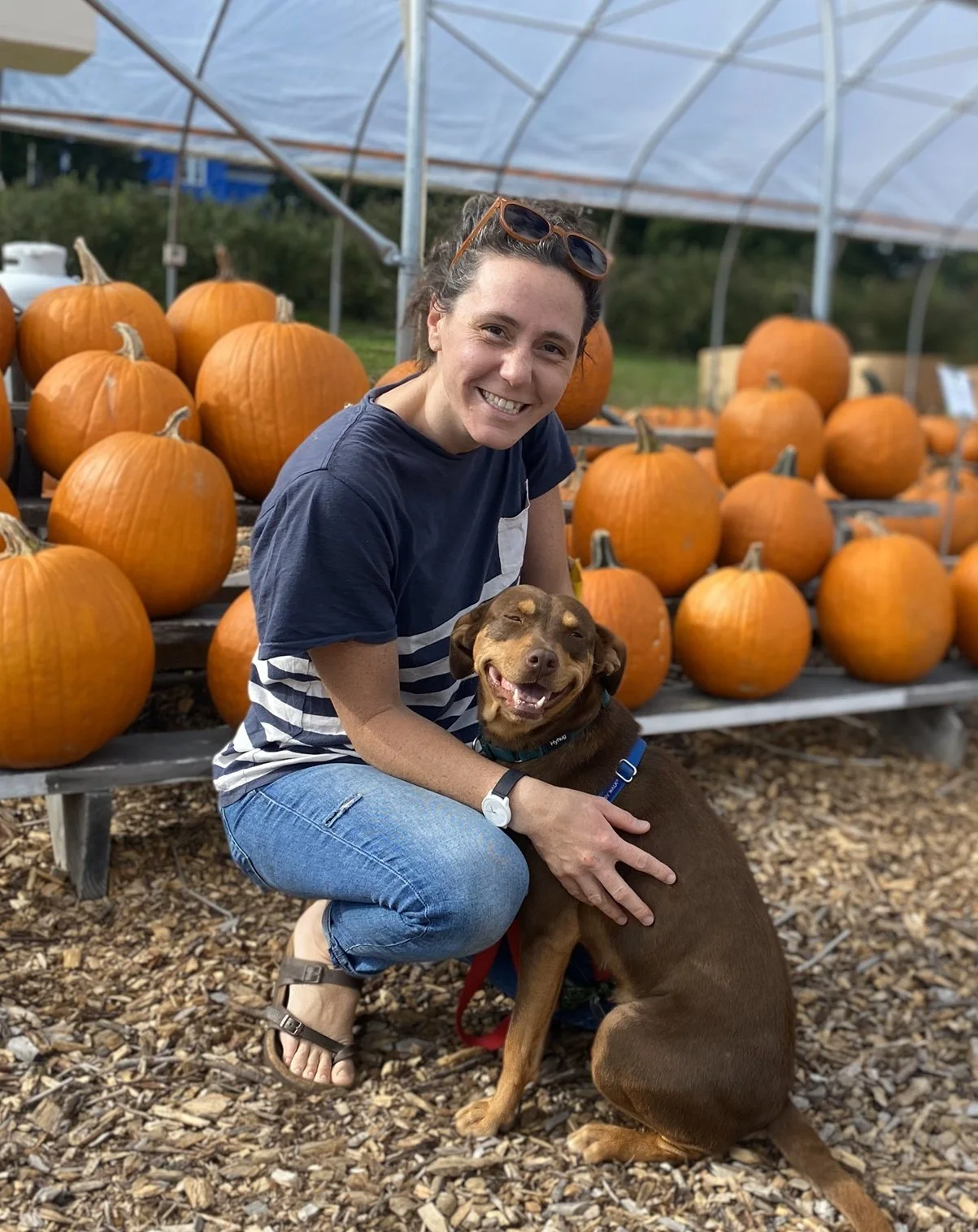 A woman smiling while kneeling beside a brown dog at a pumpkin patch with rows of orange pumpkins in the background.