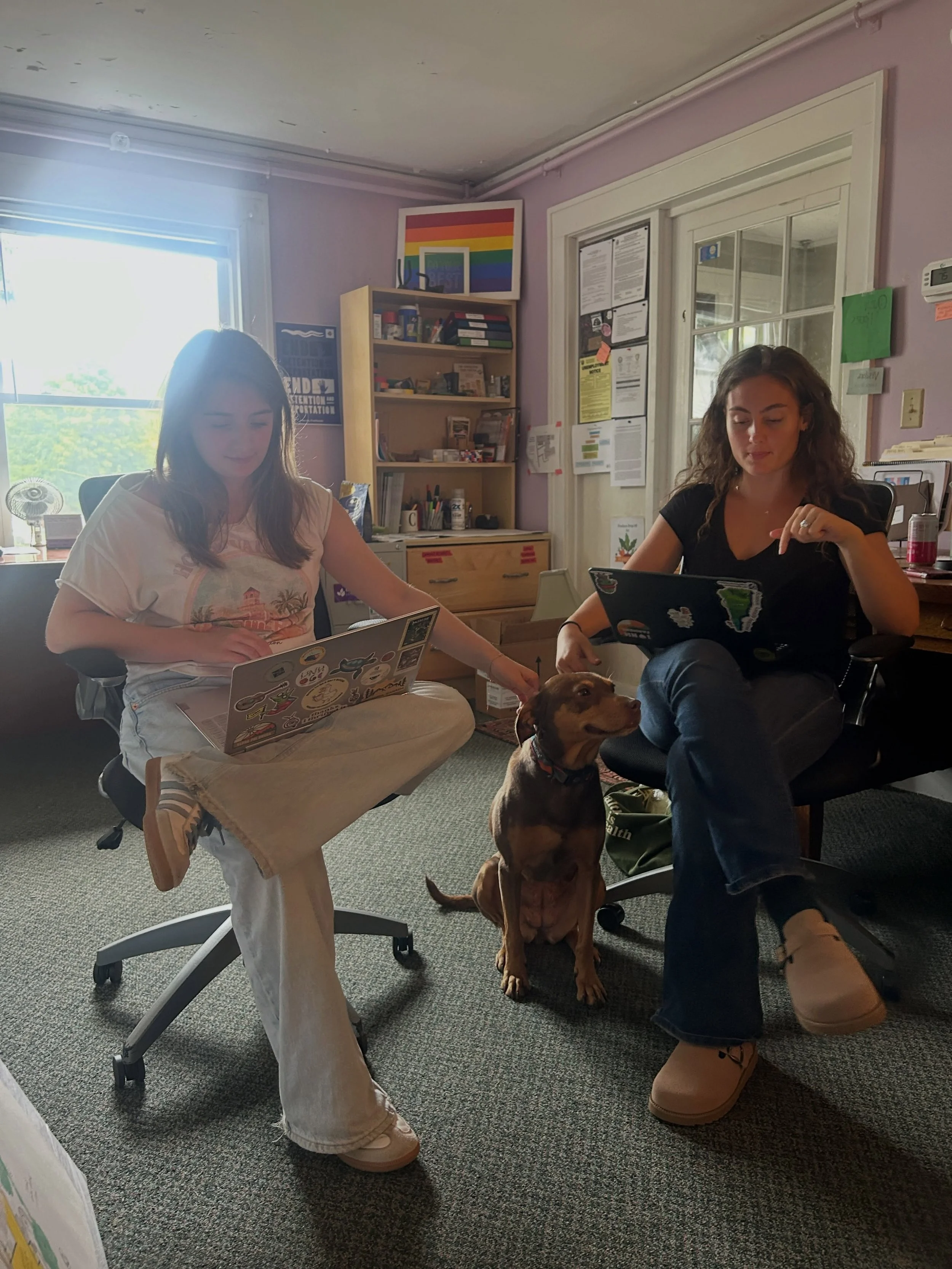 We will miss Wednesday check-ins with our outstanding UNH Sustainability Institute Fellows! This summer flew by, but the amount of information-gathering, interviewing, client-surveying, summarizing and analysis these two were able to accomplish has b