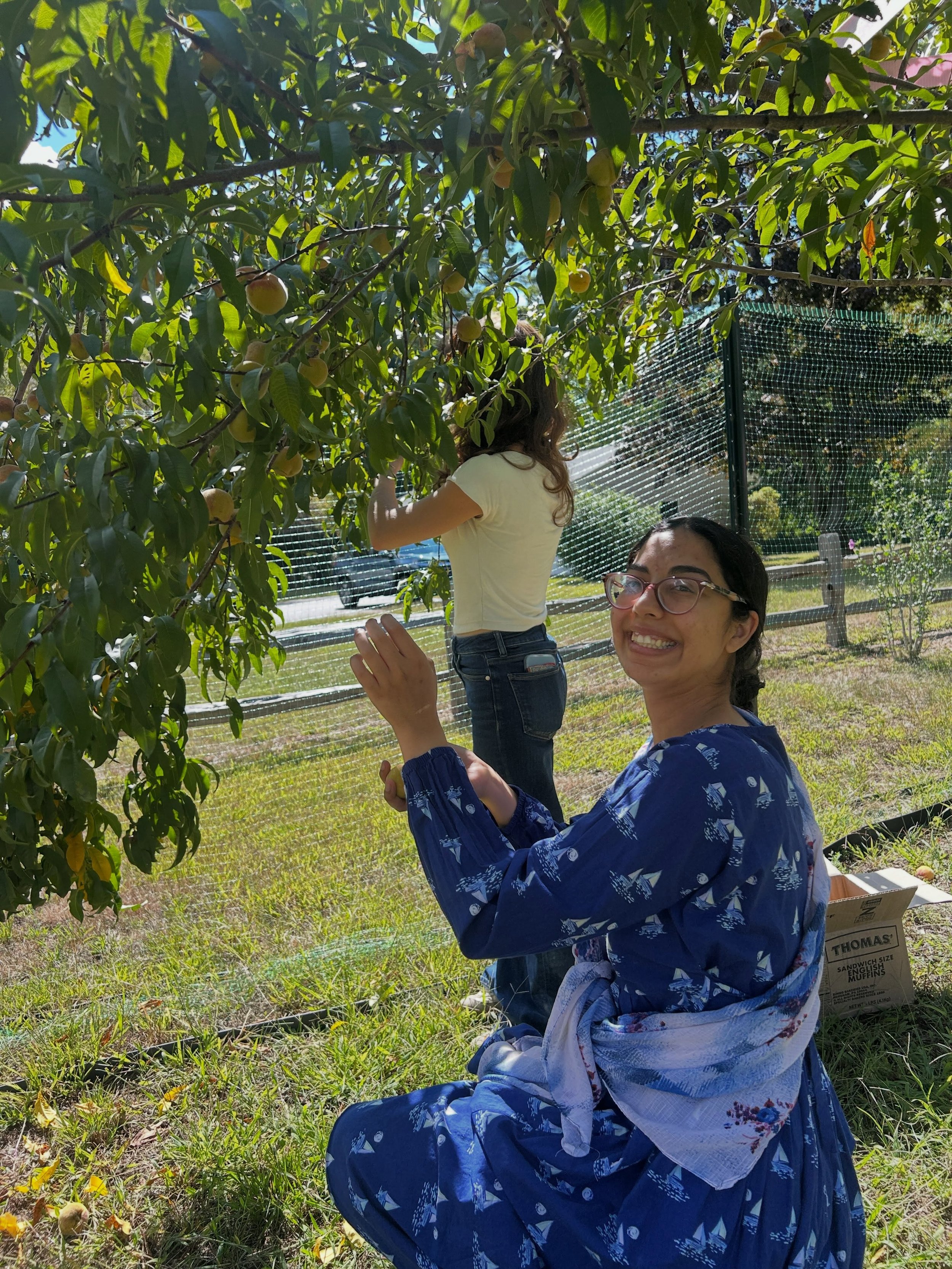 76 POUNDS of peaches! When a Durham neighbor with a peach tree offers to donate the harvest if we come pick them, we go pick them. 😊 come and get them Tuesday in Cornucopia Food Pantry!
