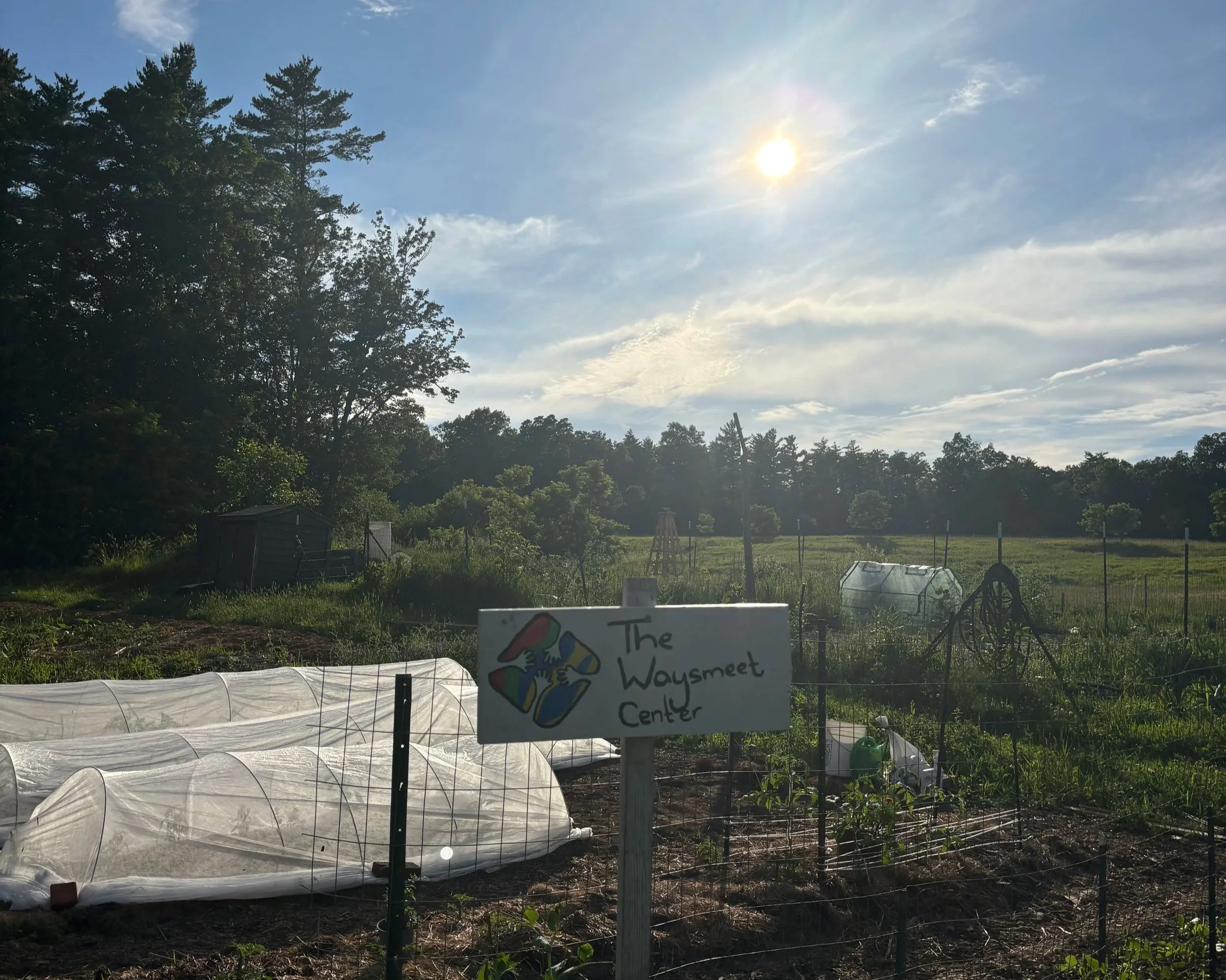 A garden with green plants and plastic tunnel covers, a sign reading 'The Waysmeet Center,' a small shed, and a sunny sky with clouds.