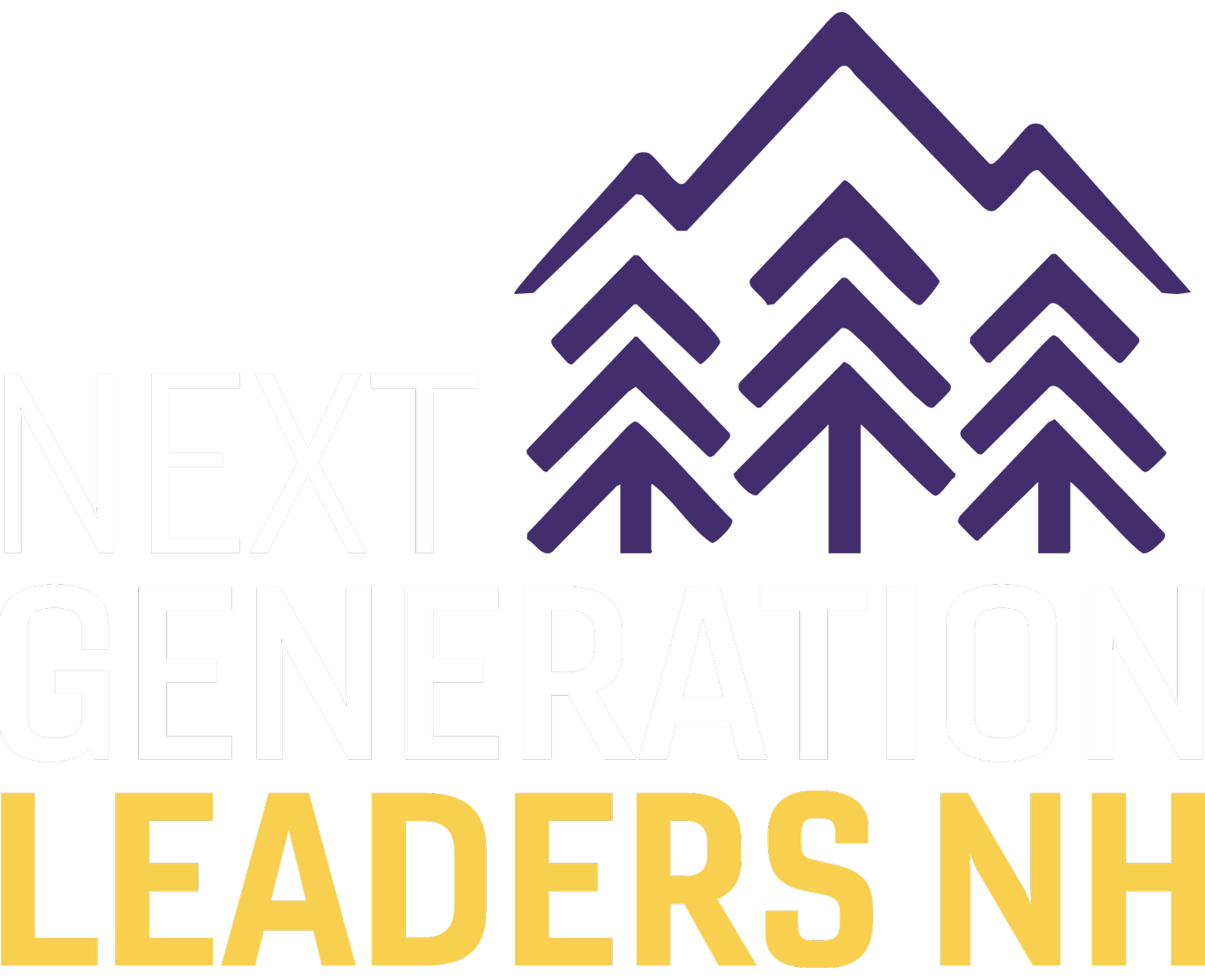 NEXT GENERATION LEADERS NH