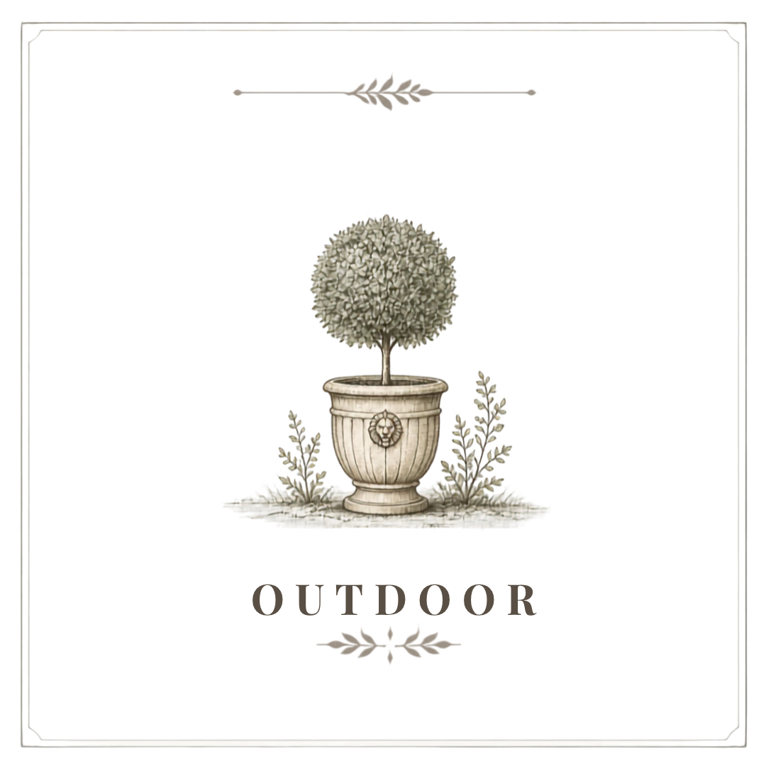 Drawing of a topiary tree in a decorative planter with the word 'OUTDOOR' below and simple decorative elements above and below.
