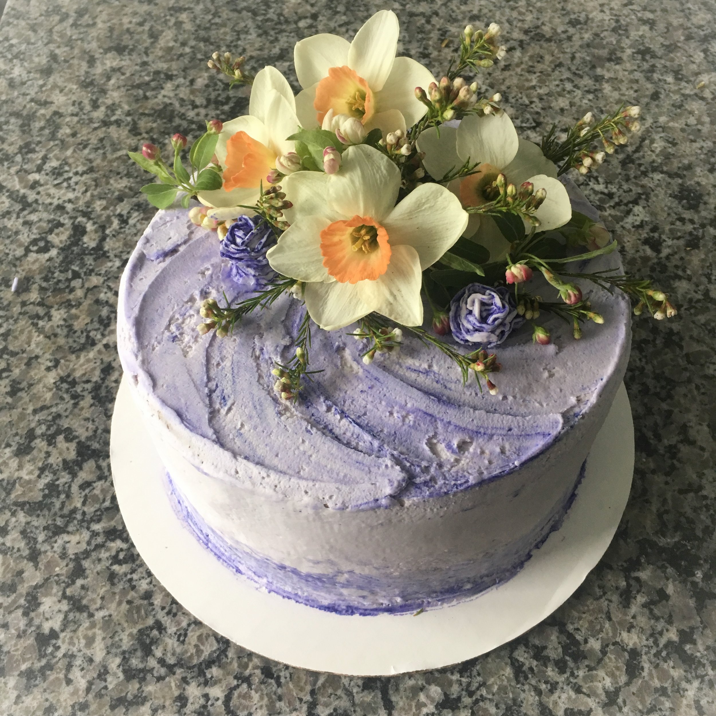 IMG_7449.jpg