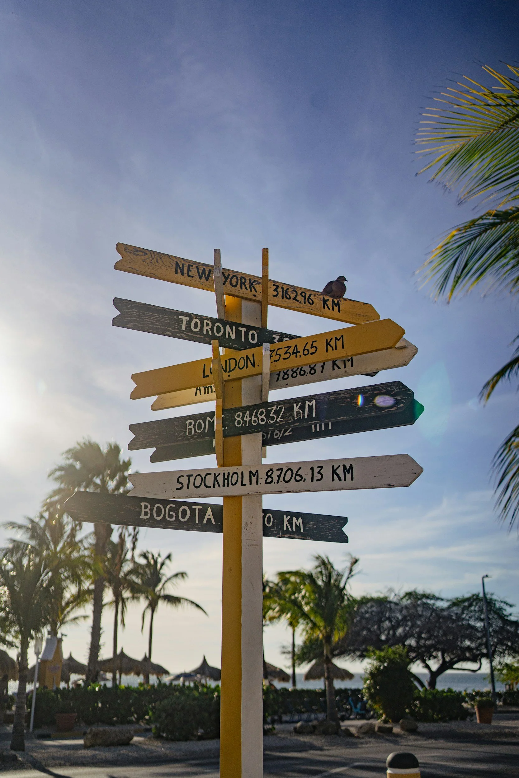 Signpost with distances to various cities, with a bird perched on top, against a background of palm trees and a partly cloudy sky.