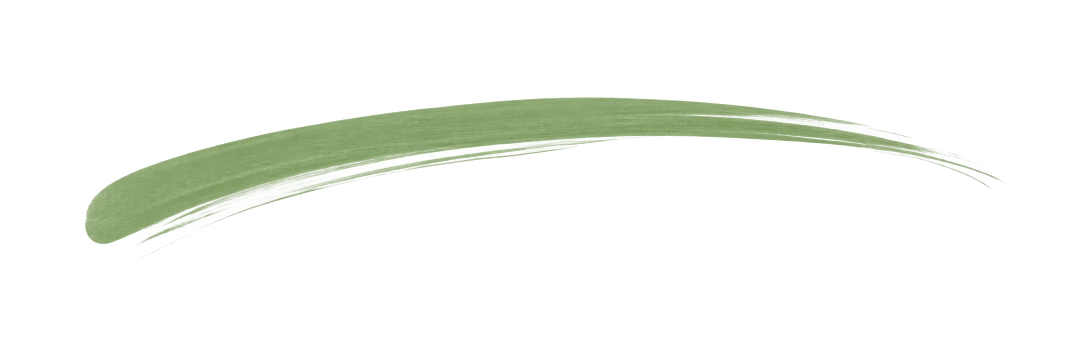 Close-up of a green leaf with a small white insect on it.