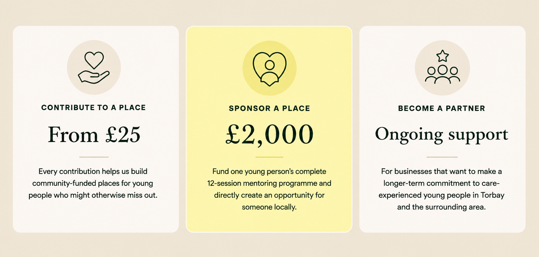 Three donation options: contribute from 25 pounds to build community places for youth, sponsor a place for 2000 pounds to fund mentoring programs, and ongoing support for businesses to care for young people in Torbay.