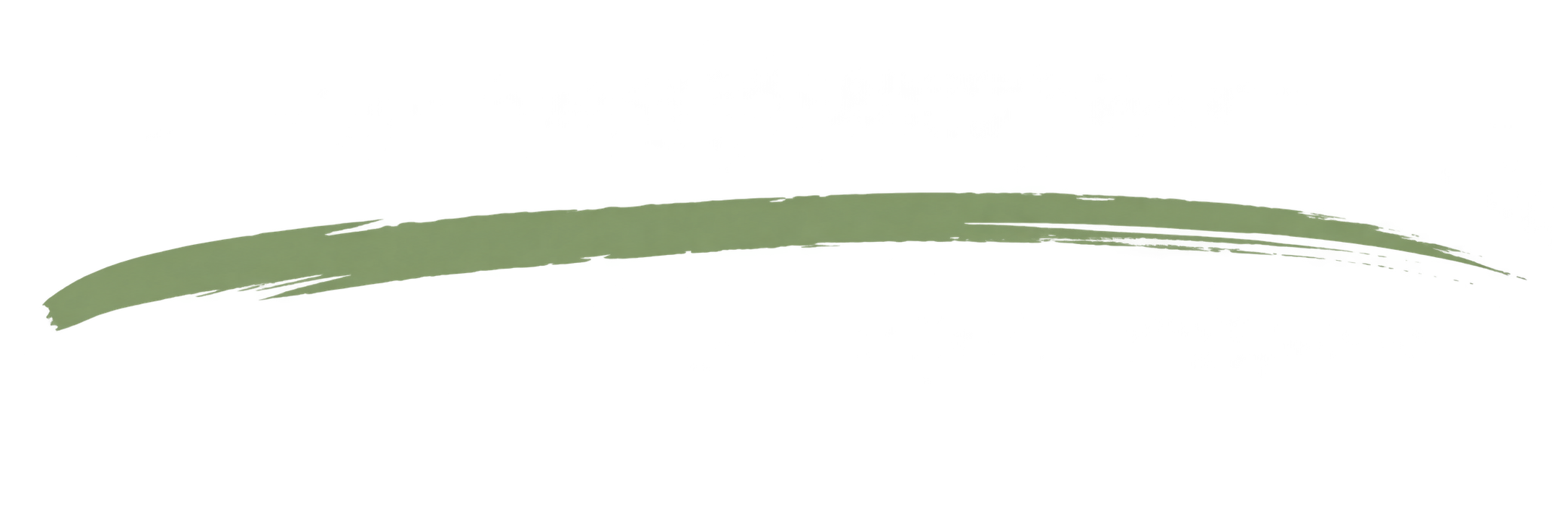 A green aloe vera leaf with a slightly curved shape.