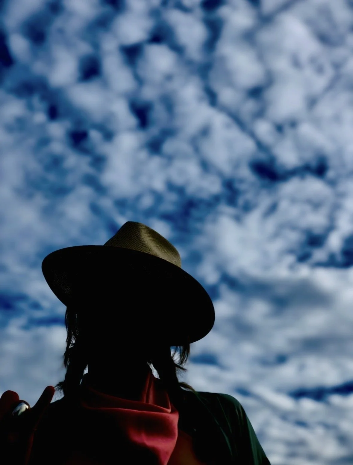 Person wearing a wide-brimmed hat and a red scarf against a cloudy sky.