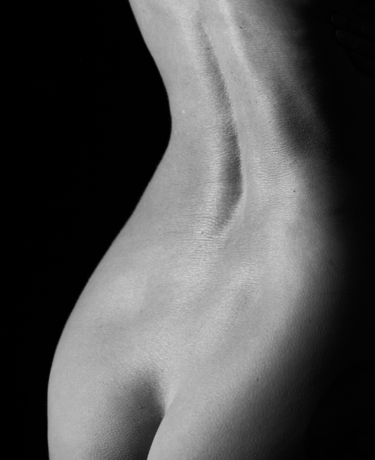 Close-up black and white photo of a woman's bare shoulder and back, highlighting smooth skin, curves, and shadows.
