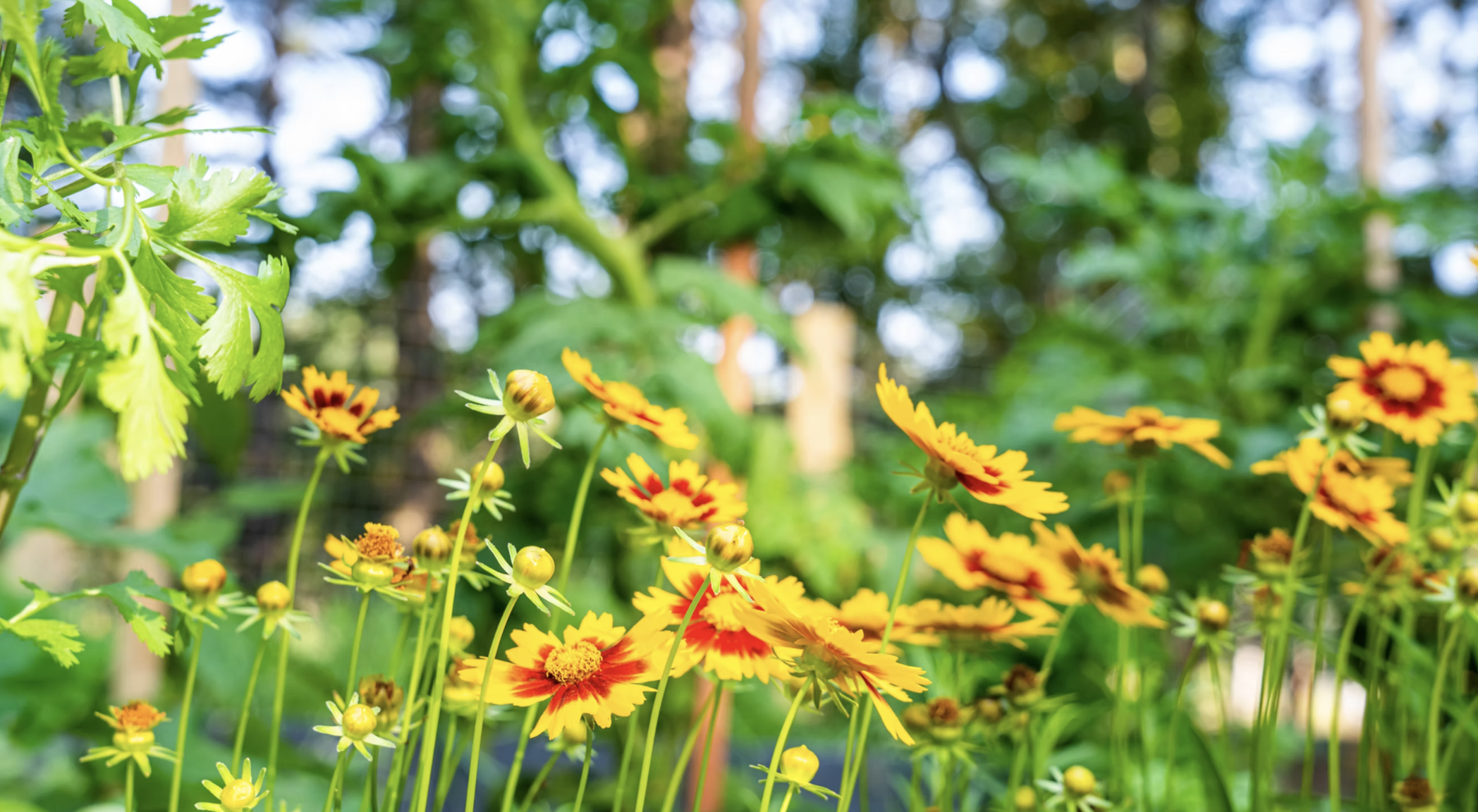 Screenshot 2026-09-10 at 10.03.05 PM.png
