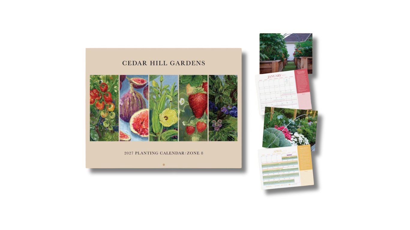 Gift Card (17).png