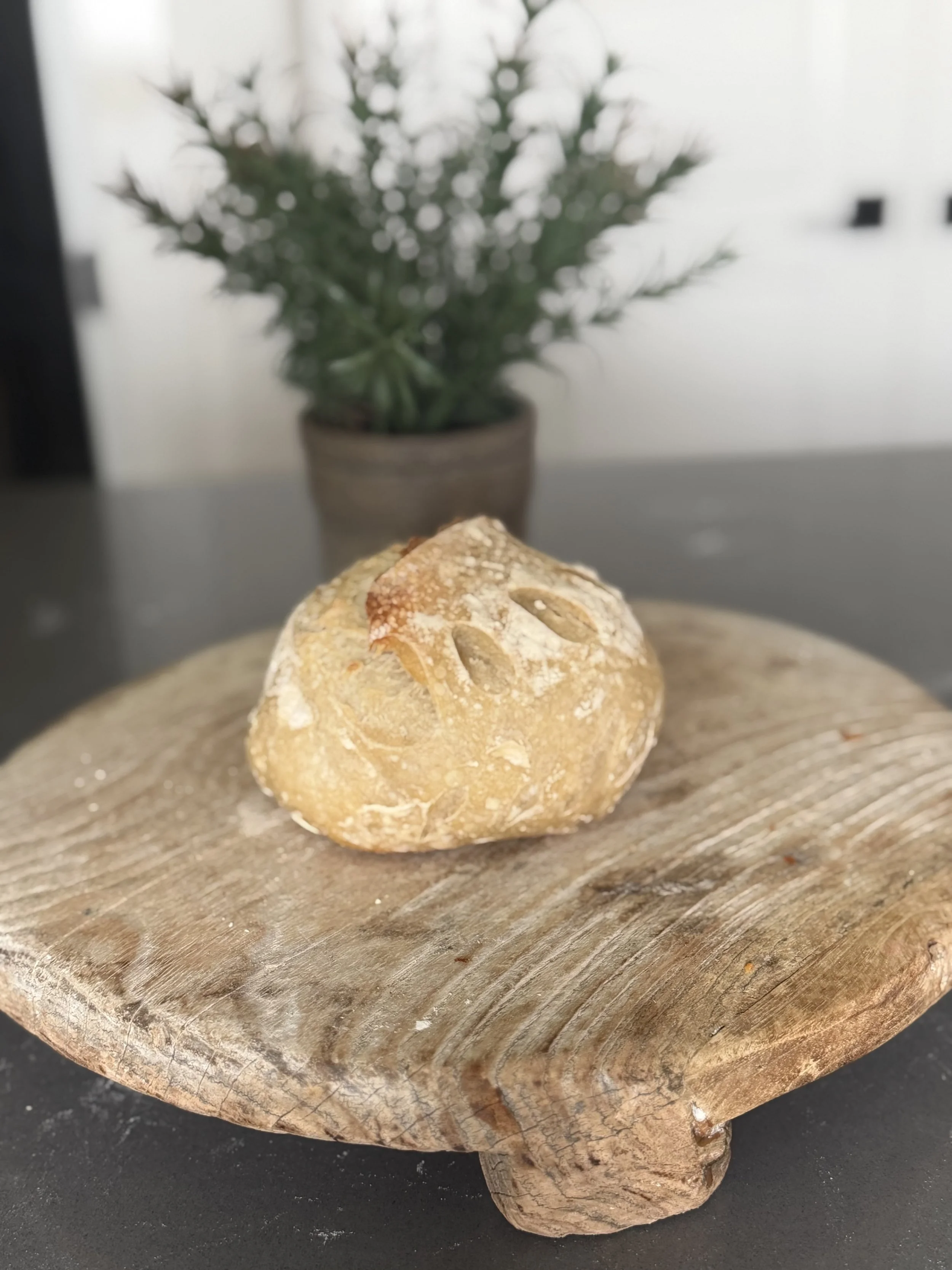 Petite Sourdough Loaf