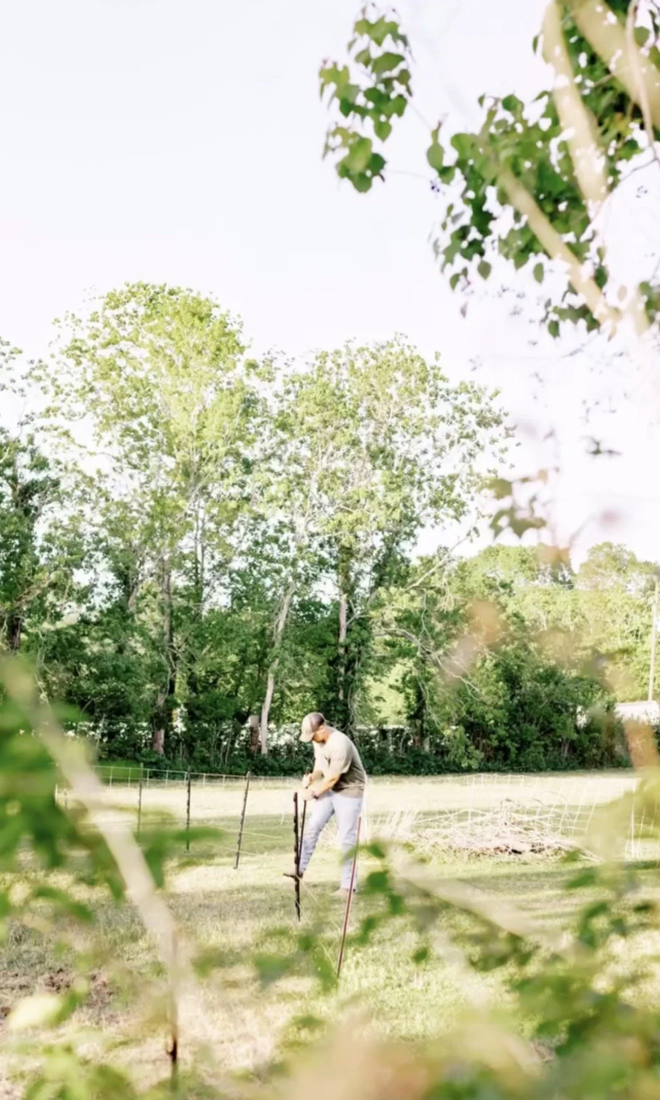 Ben working on a fence in a grassy field, surrounded by trees under a bright sky.