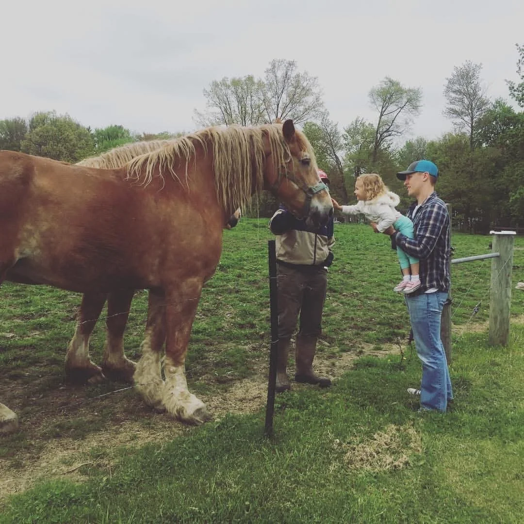 A man holding a young girl in front of a large horse at a farm or ranch, with trees and a cloudy sky in the background.