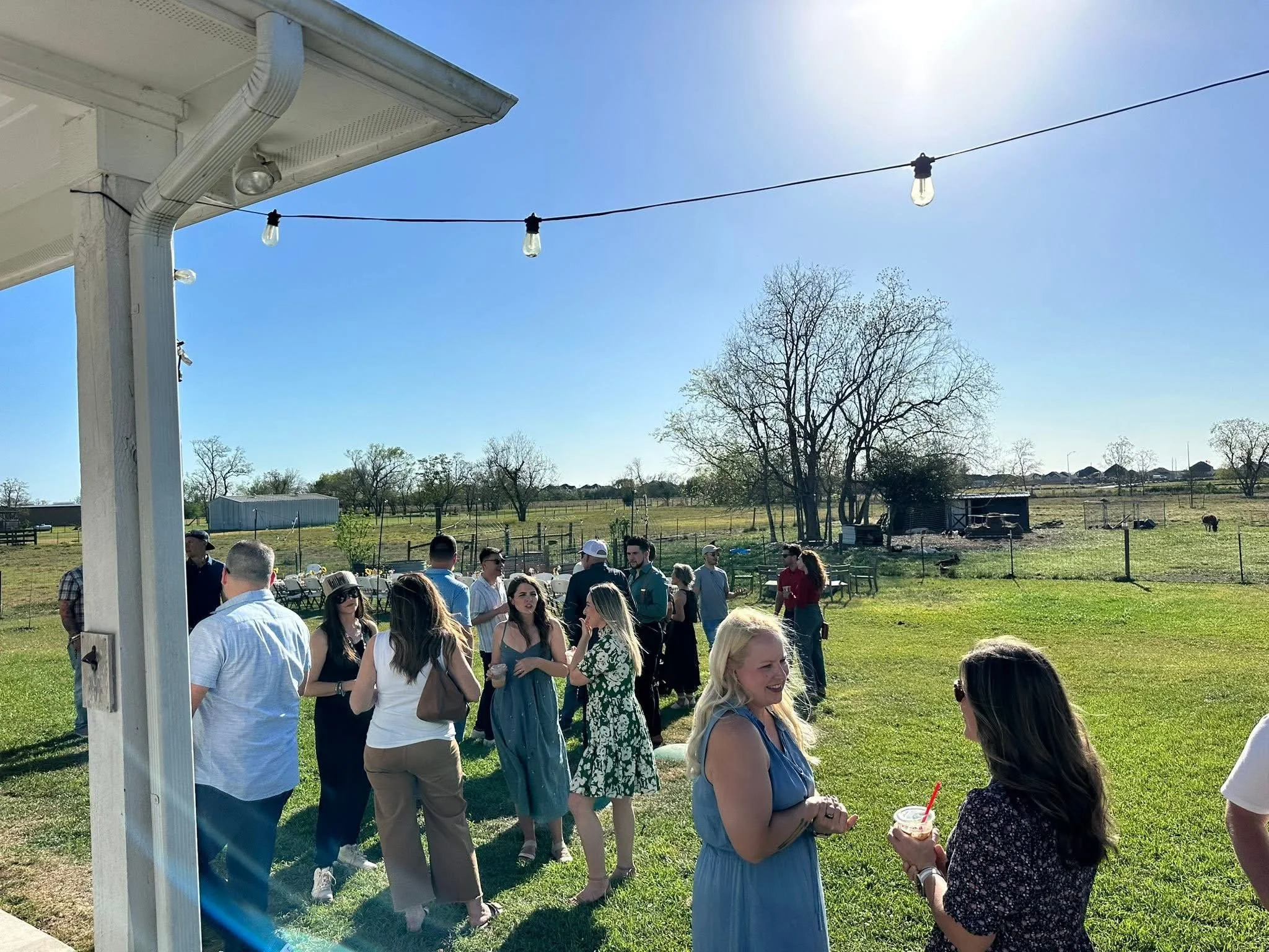 People gathered outdoors in a sunny, rural setting, with some holding drinks, under a string of outdoor lights near a white house with a gutter system.