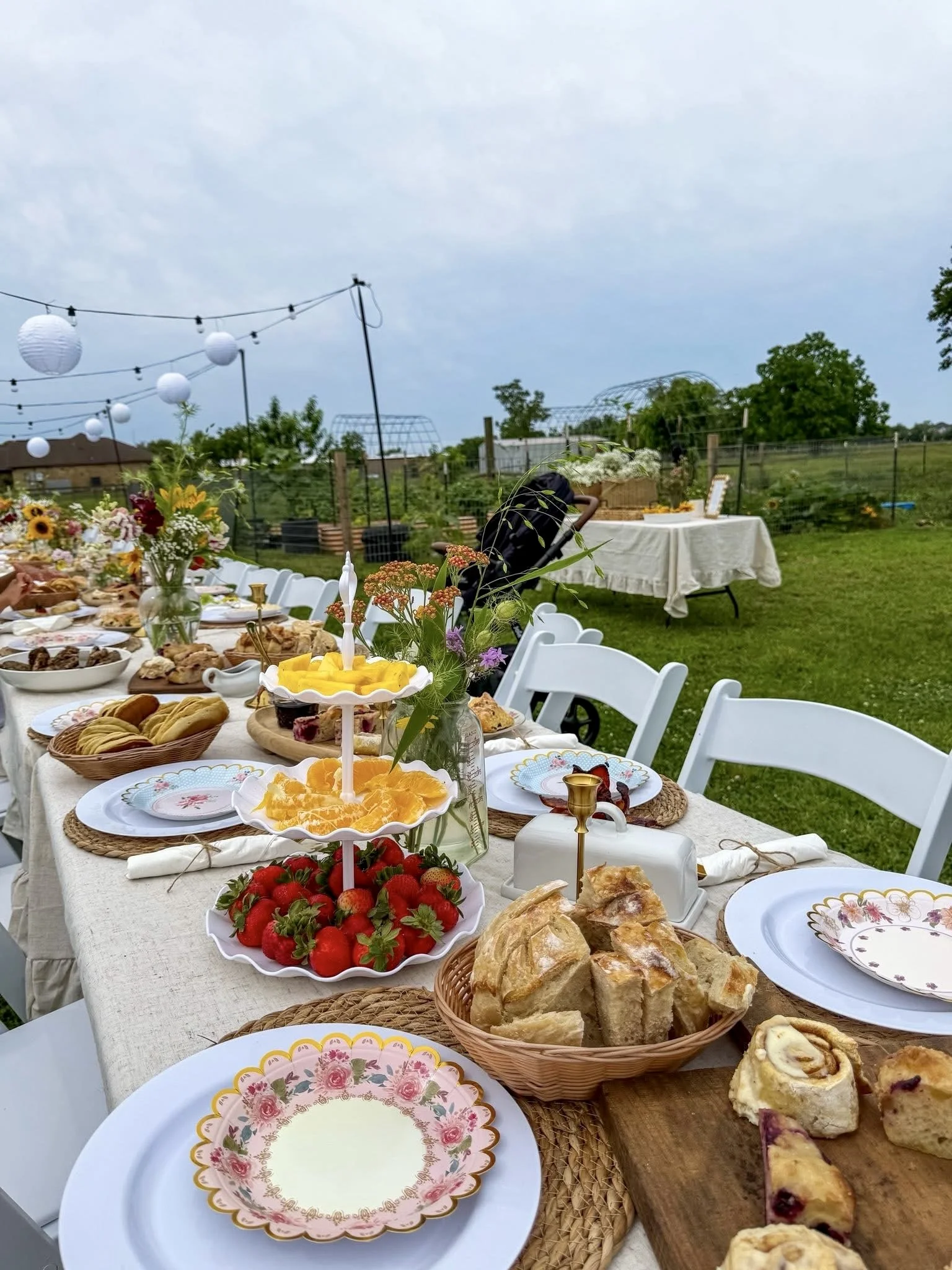 Outdoor buffet table with fruit, baked goods, and floral decorations, set against a backdrop of trees and cloudy sky.
