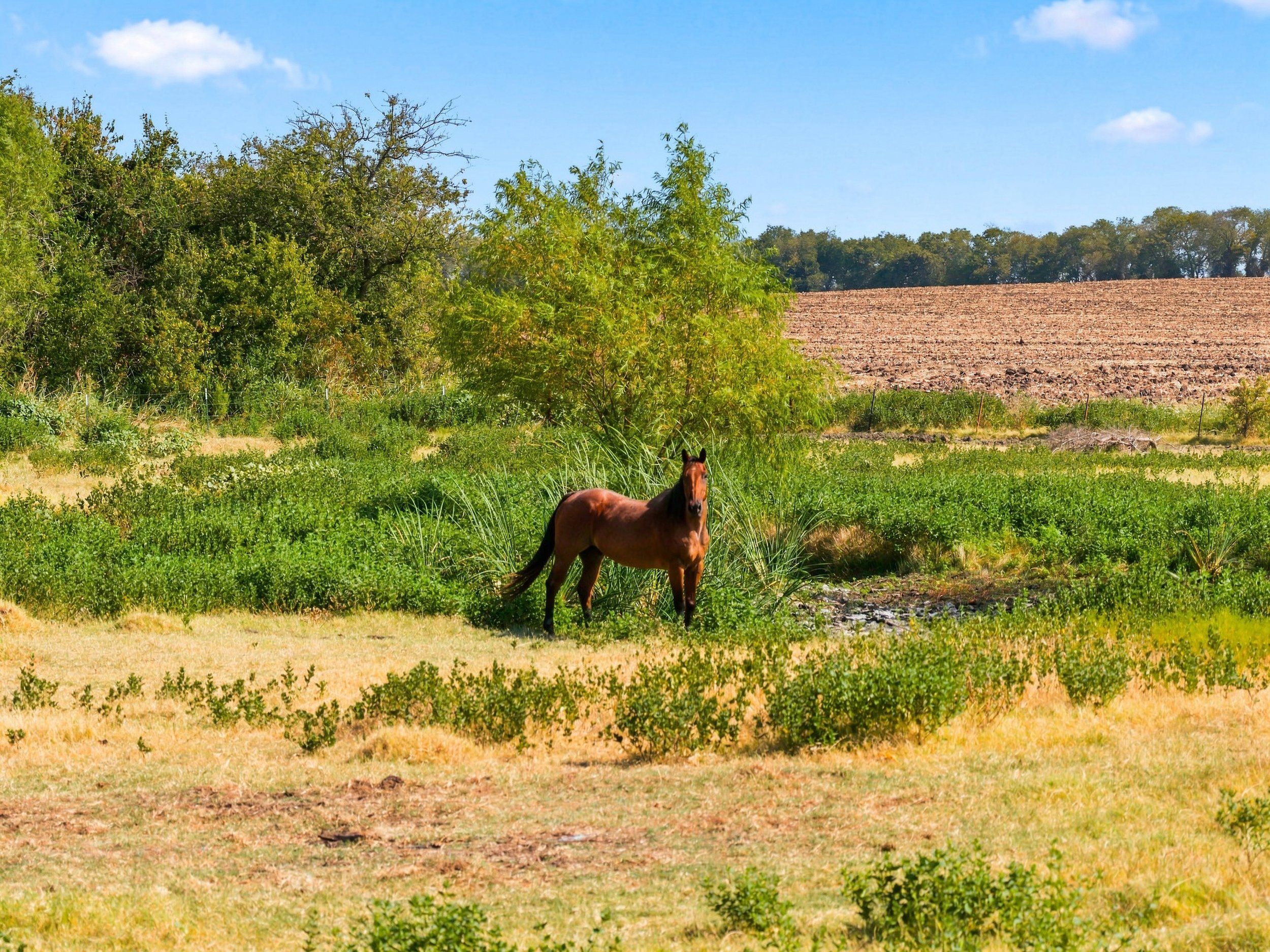 13-DJI_20260828092627_0975_D_004.jpg