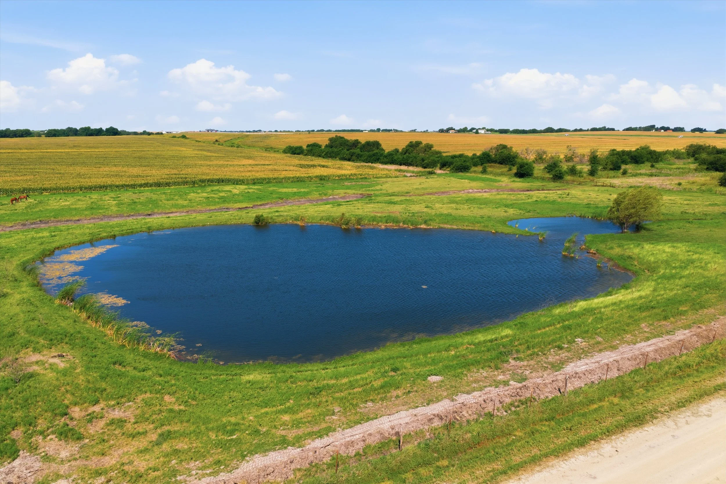 06-DJI_20260625102034_0970_D.jpg