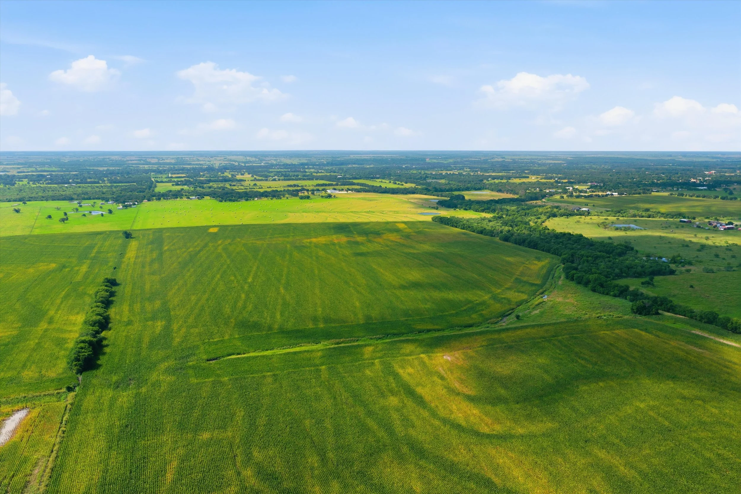 19-DJI_20260625101234_0959_D.jpg